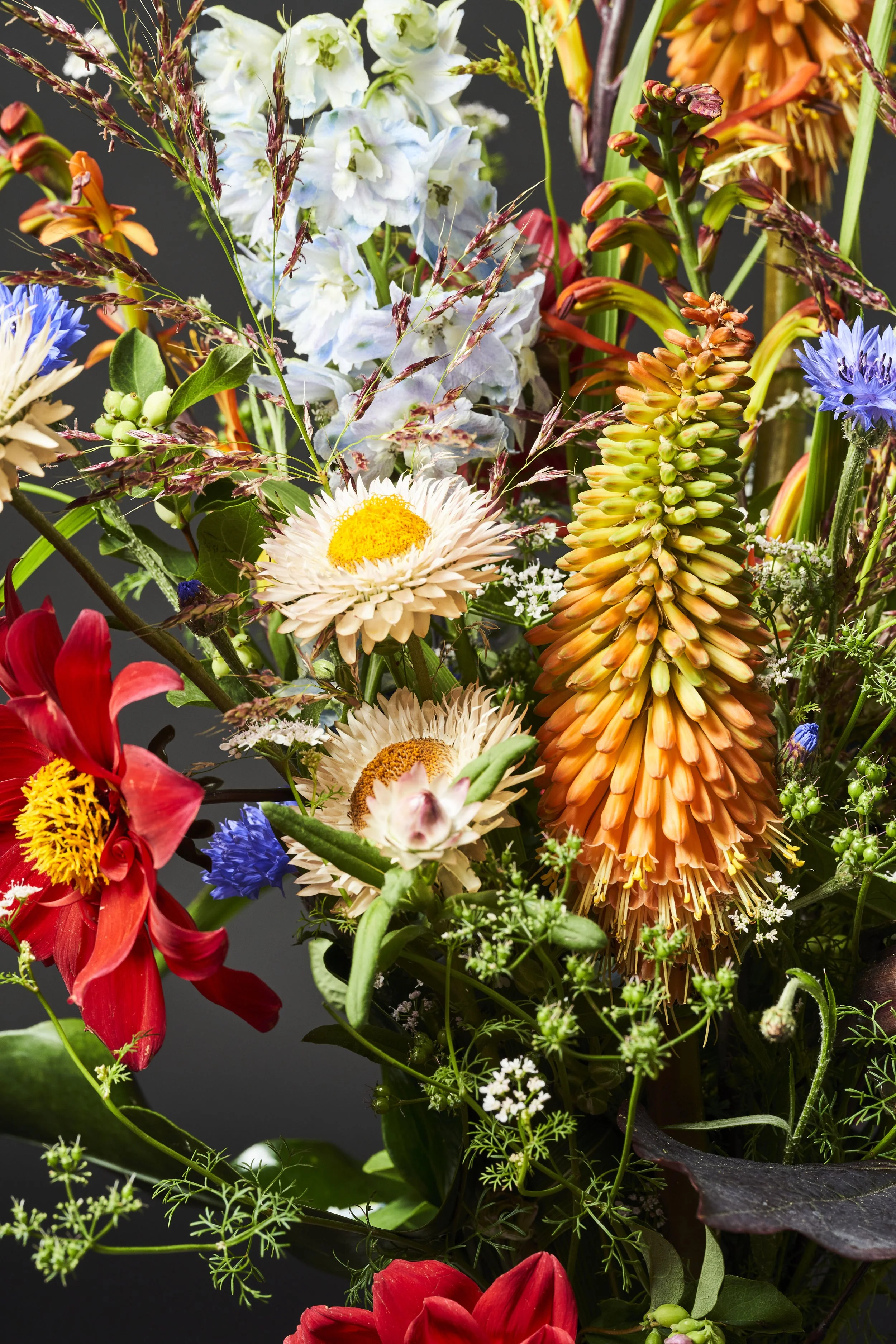 220802_thedorf_Blumen6325_fullres.jpg