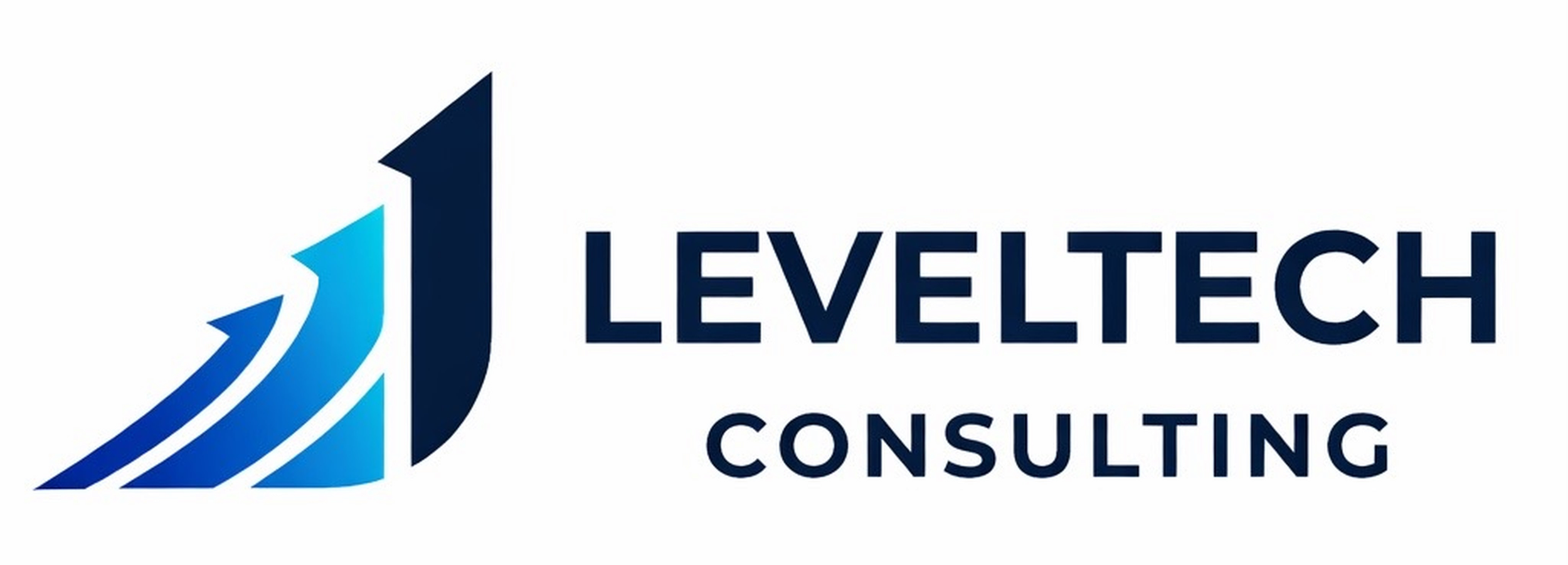 LevelTech Consulting