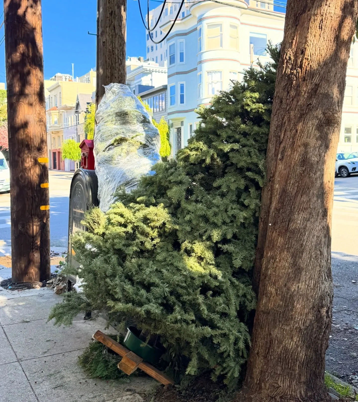 The between time: when San Francisco says goodbye to Christmas, and prepares to spin a disco ball!

#designlife #newyear #pursuepretty #holidaydecor #everydaybeautiful