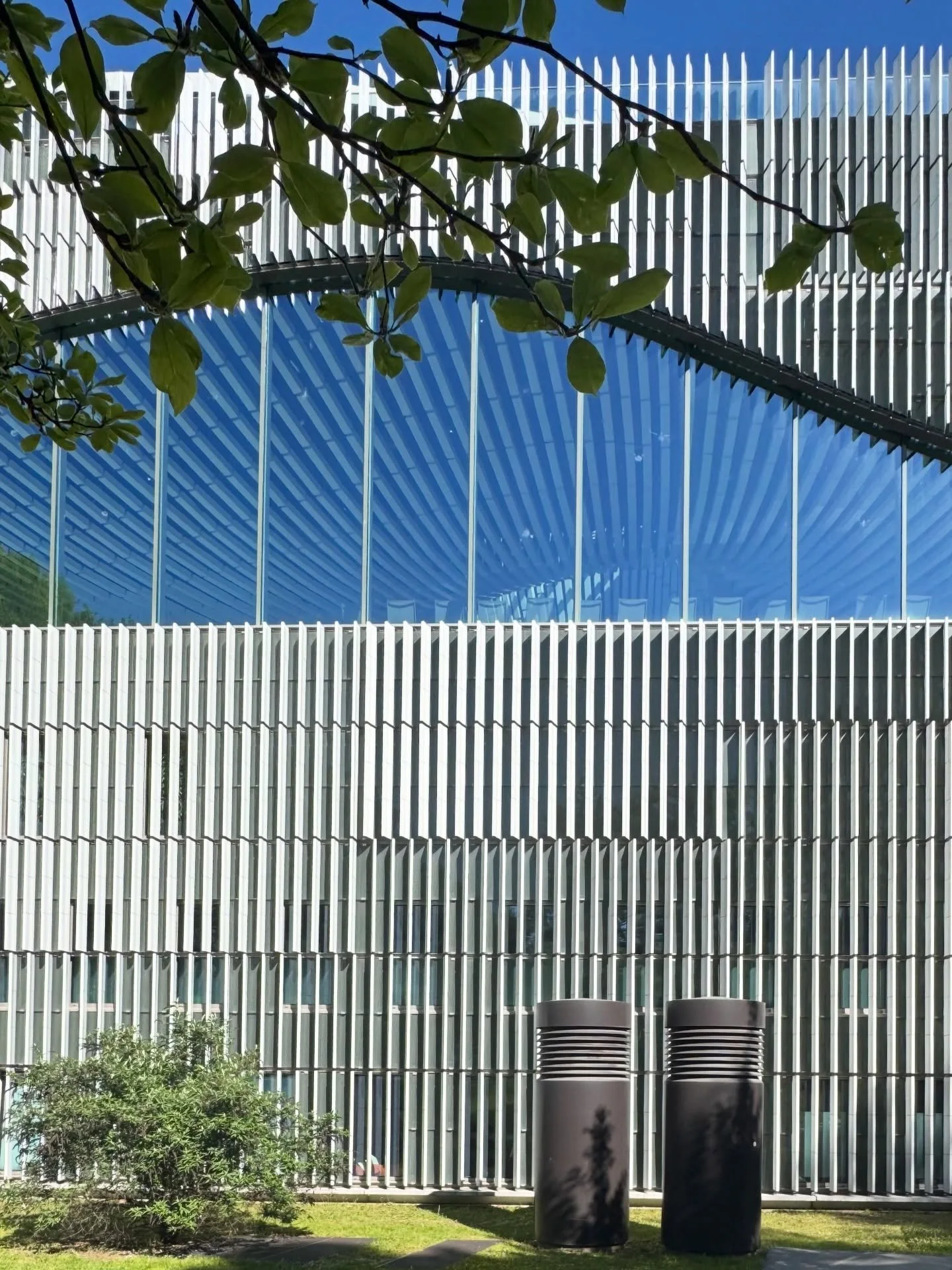 Linear flow.

#designlife #architectural #inspiration #wanderlust #everydaybeautiful