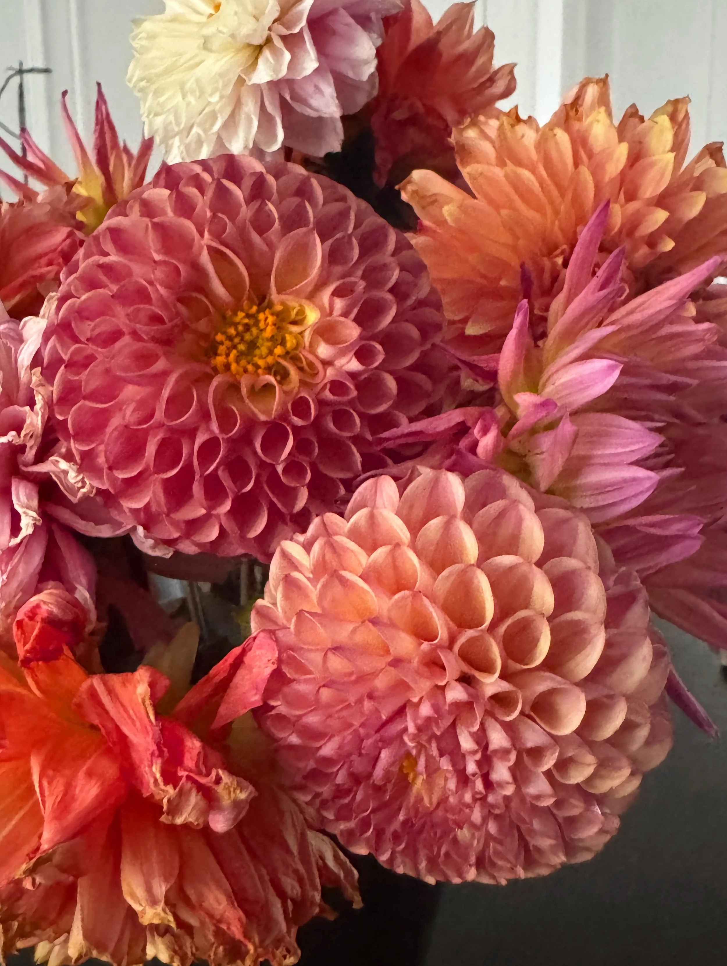 It's dahlia season, I'm in love.

Happy to be headed into the long weekend with these colorful beauties. 

Happy #FlowerFriday!!

#bloom #designlife #floraldecor #everydaybeautiful