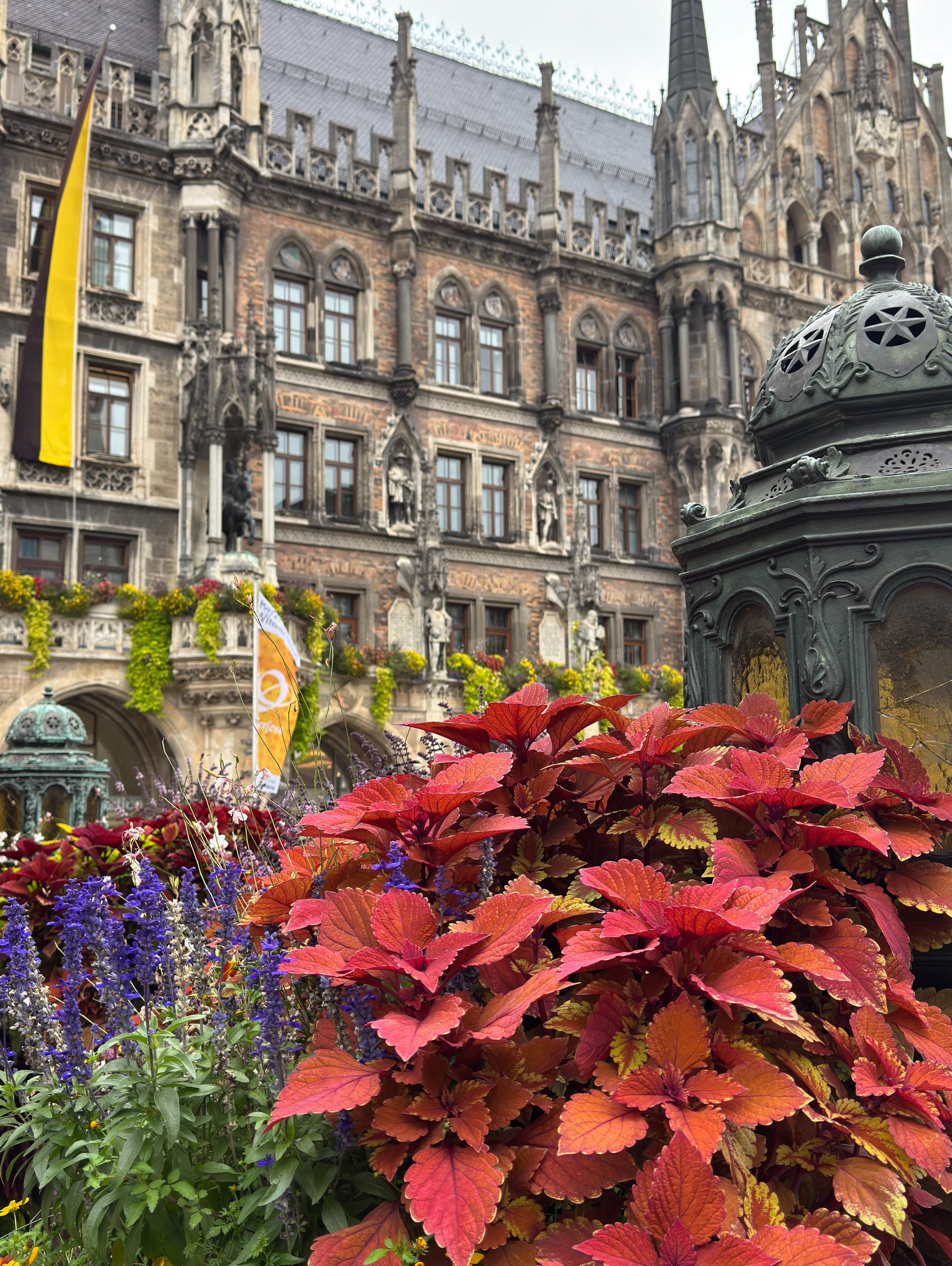 Happy FlowerFriday, Oktoberfest edition. 

#flowerfriday #oktoberfest #designlife #bloom #everydaybeautiful