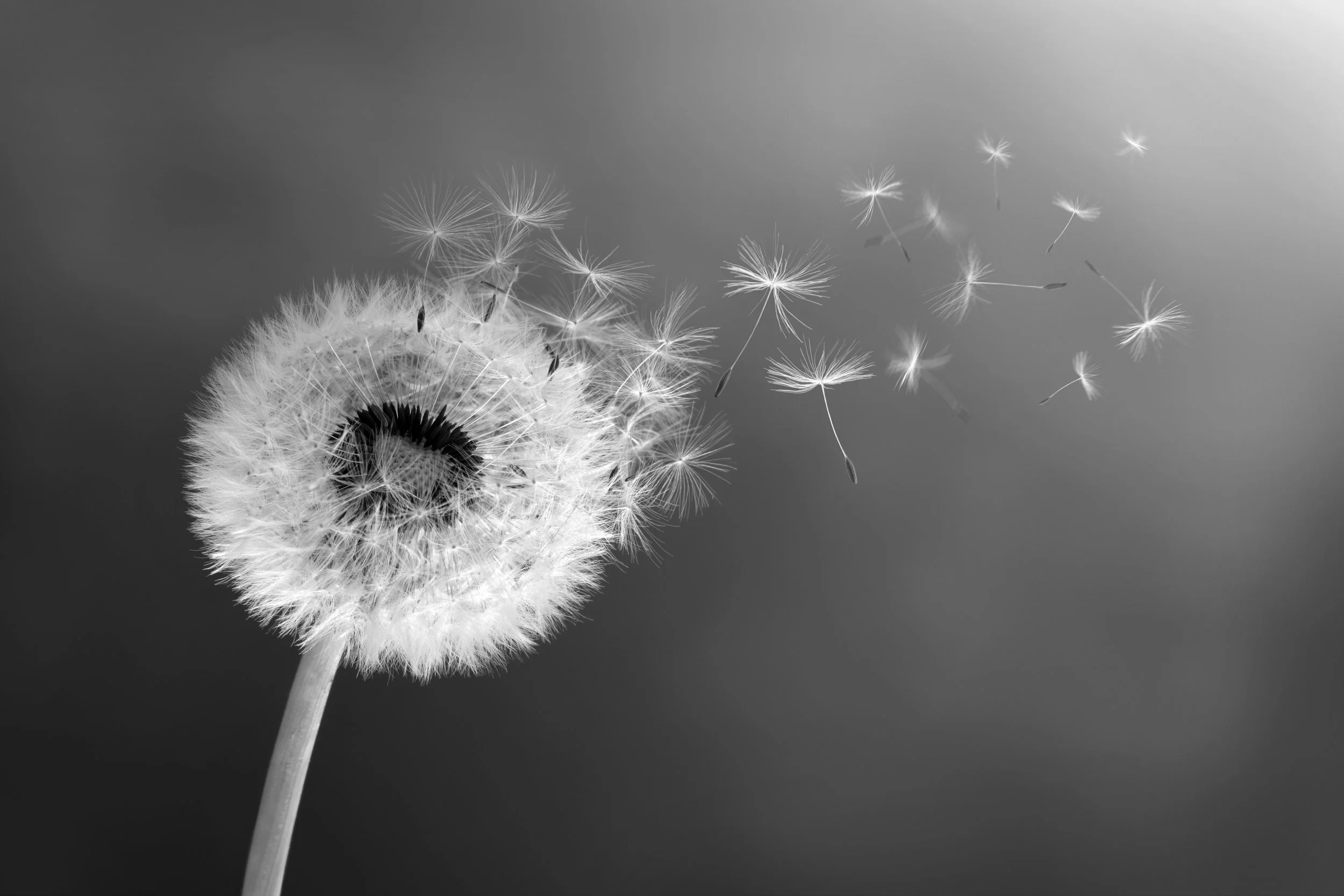 Stress - bliv klogere på symptomerne på stress og hvordan de opleves og få øvelser og råd til hvad, du kan gøre. Klik på fotoet og lyt med.