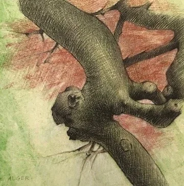 Knobs  
5 x 5”  
Charcoal and Sanguine on toned Fabriano paper  
(Private collection)