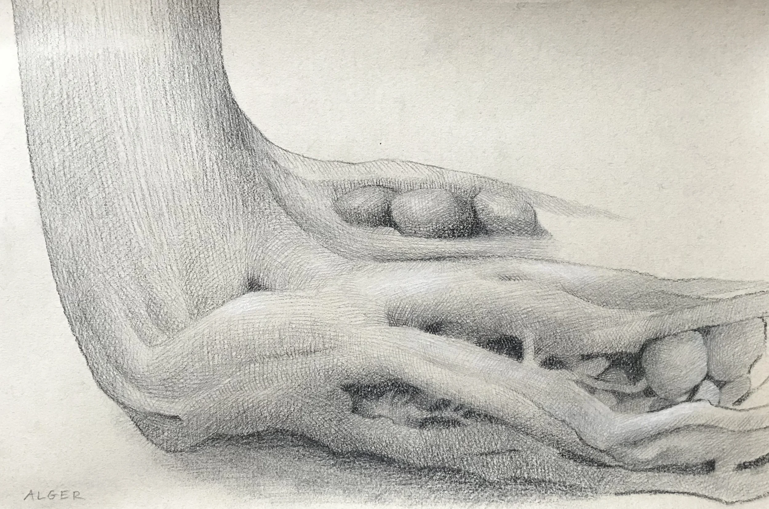 Stump  
7 x 9”  
Graphite on toned Fabriano paper