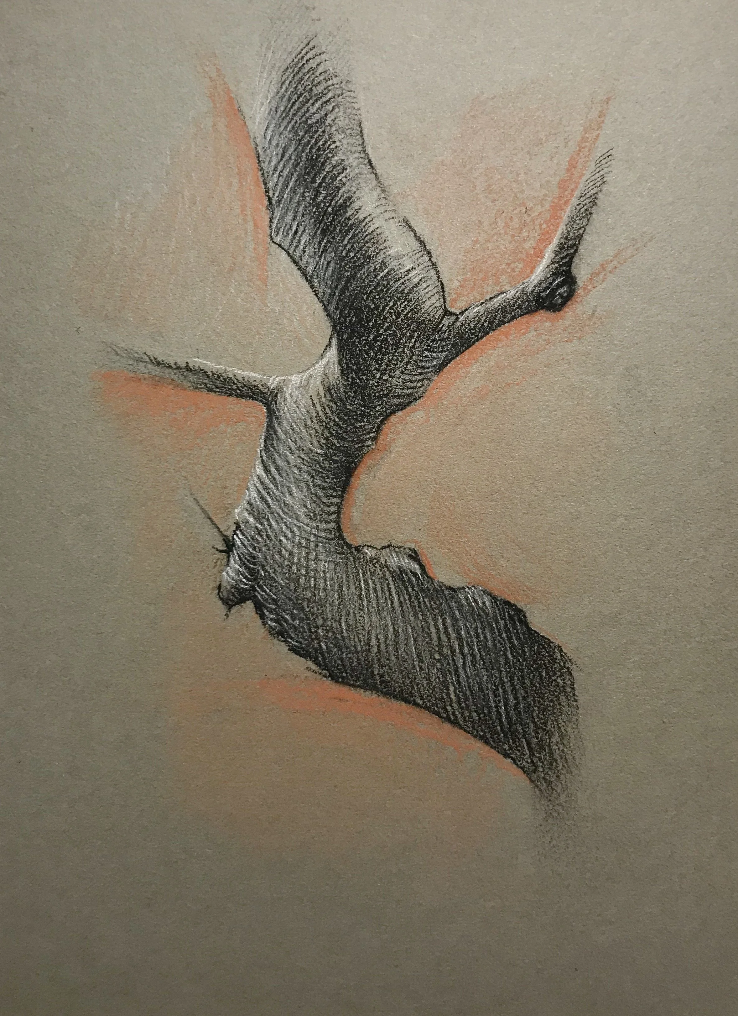 Sunset  
6 x 5”  
Charcoal and chalk on mat board  
(Private collection)