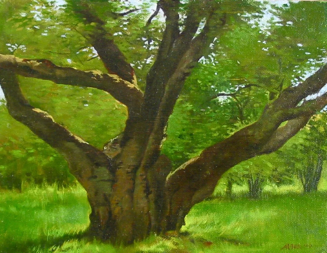 Big Tree  
8 x 11”  
Oil on canvas  
(Private collection)