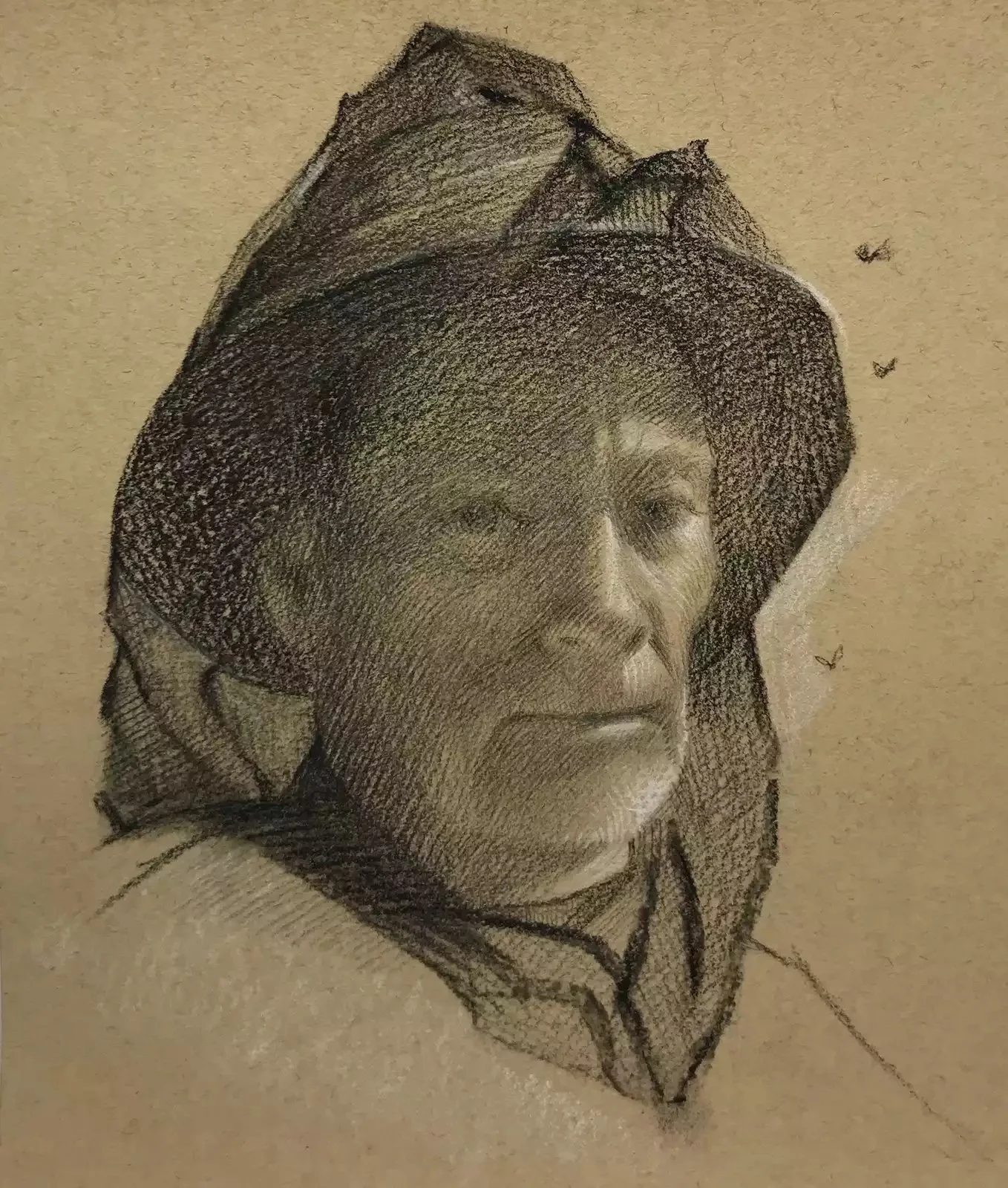 Buzz Buzz  
6 × 5”  
Charcoal and Graphite on Nideggen paper  
(Private collection)