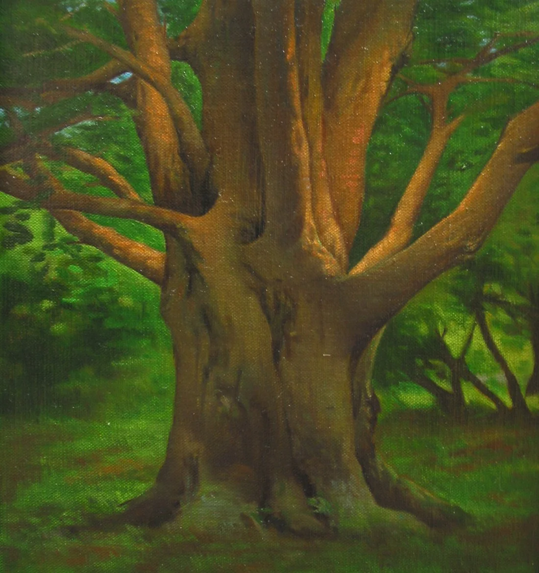 Shade Tree  
10 x 10”  
Oil on canvas  
(Private collection)