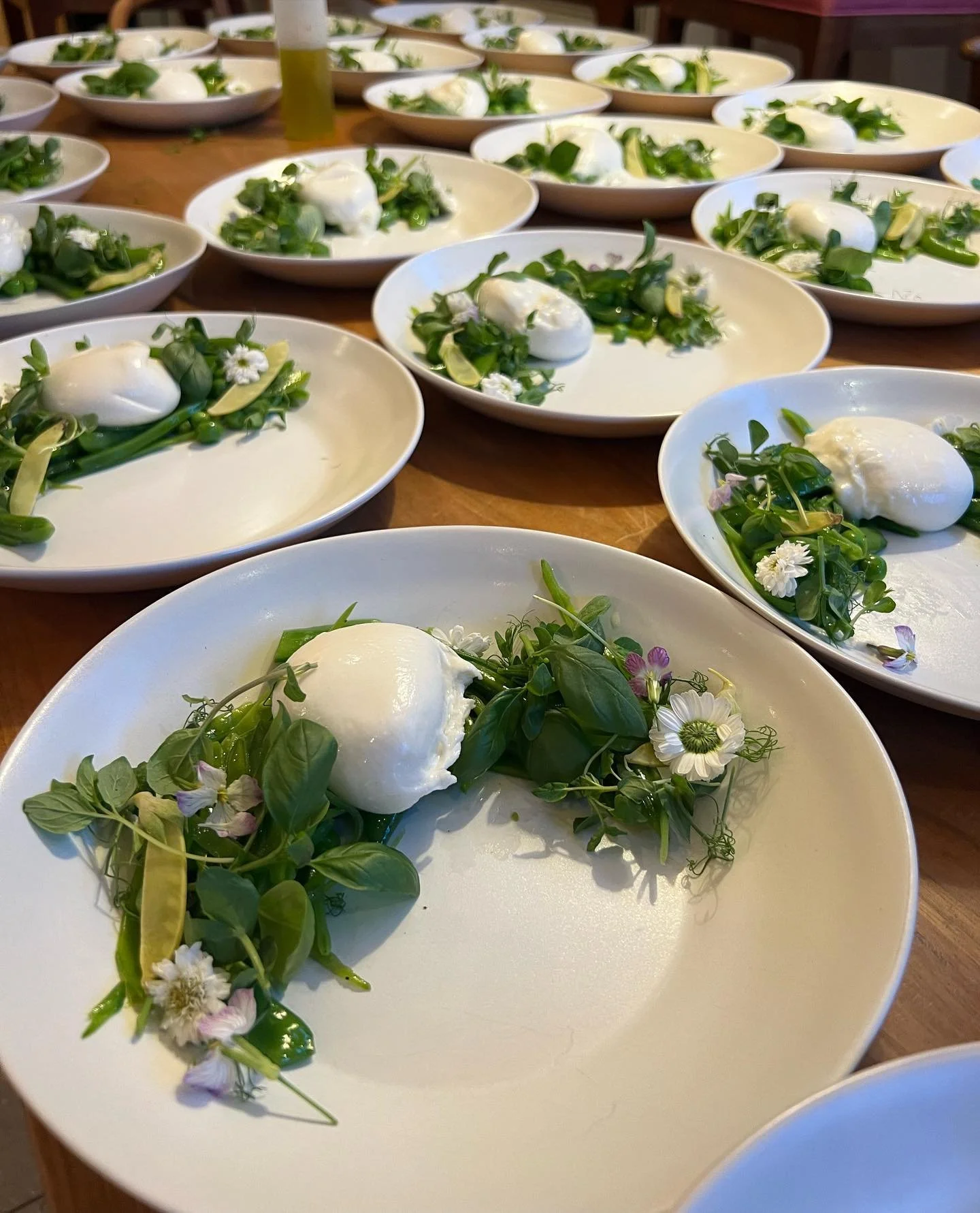 Spring Pea Salad: Burrata, Mint, Basil, Champagne Vinaigrette.