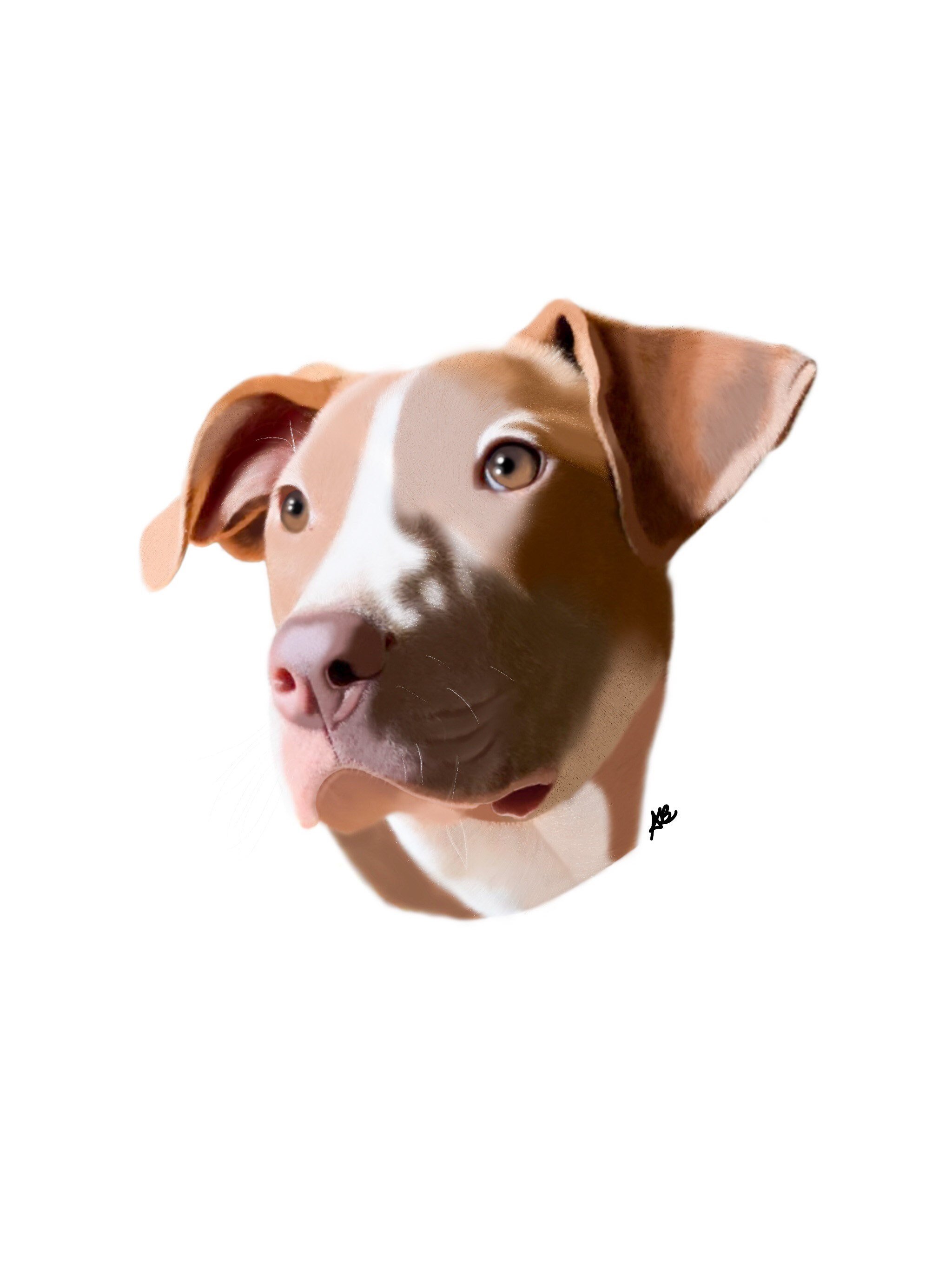 https://i.etsystatic.com/12677427/r/il/5e8d7a/3692470803/il_fullxfull.3692470803_hktn.jpg