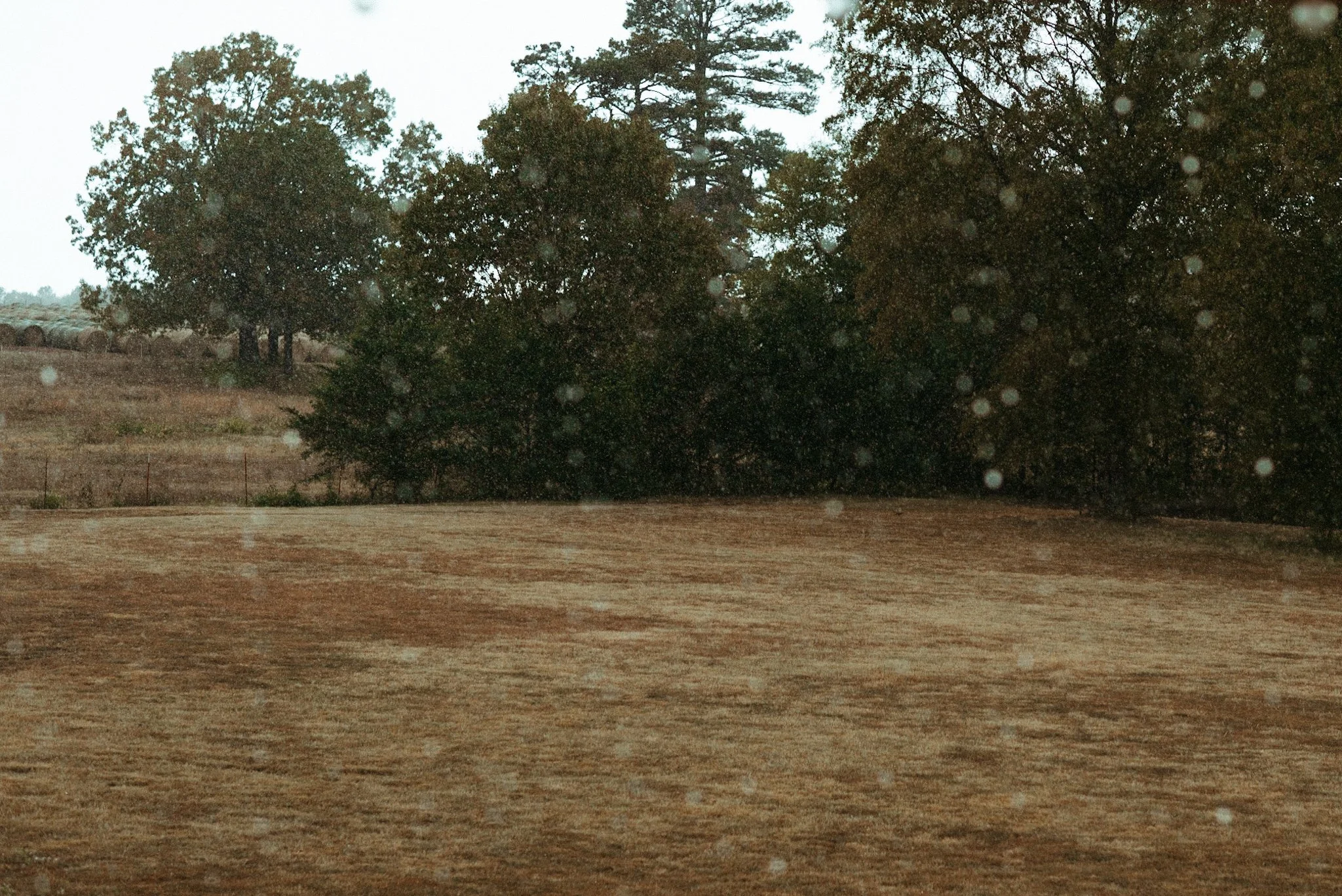 MNI_9717.jpg