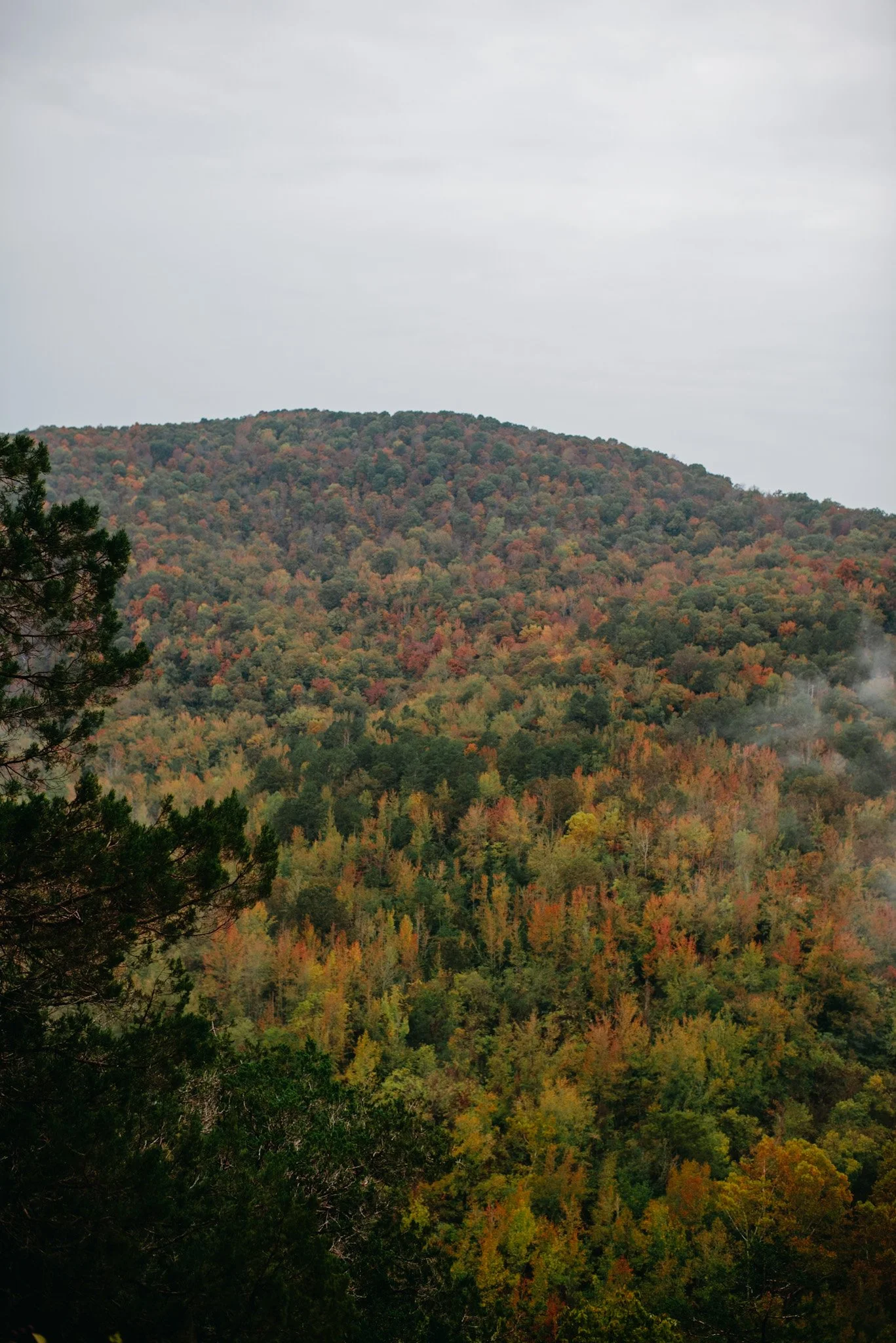 MNI_6436.jpg
