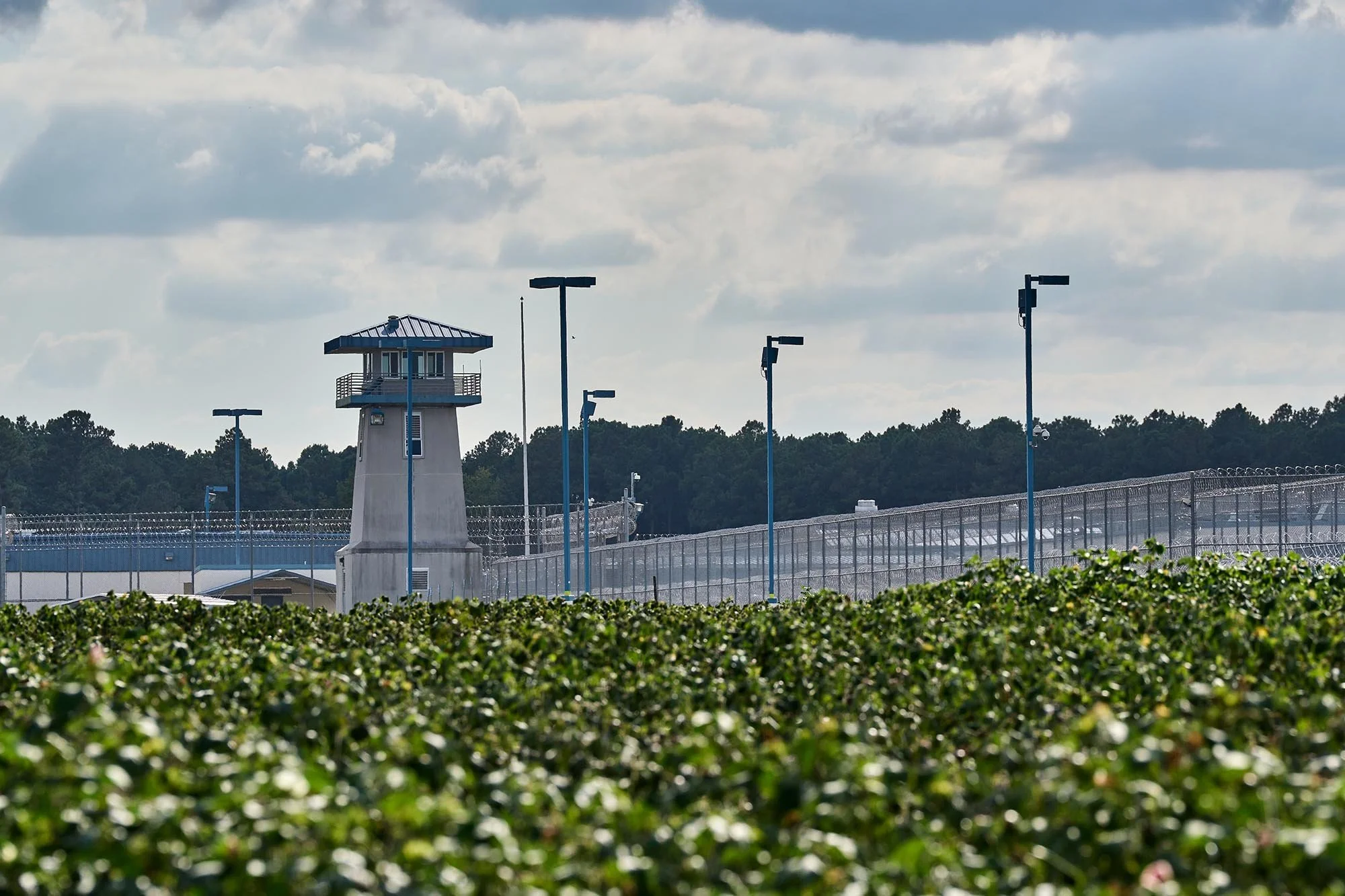 The privately owned Rivers Correctional Facility, set to become an ICE detention center, overlooks a cotton field in Wilton, NC. (for The Assembly NC)