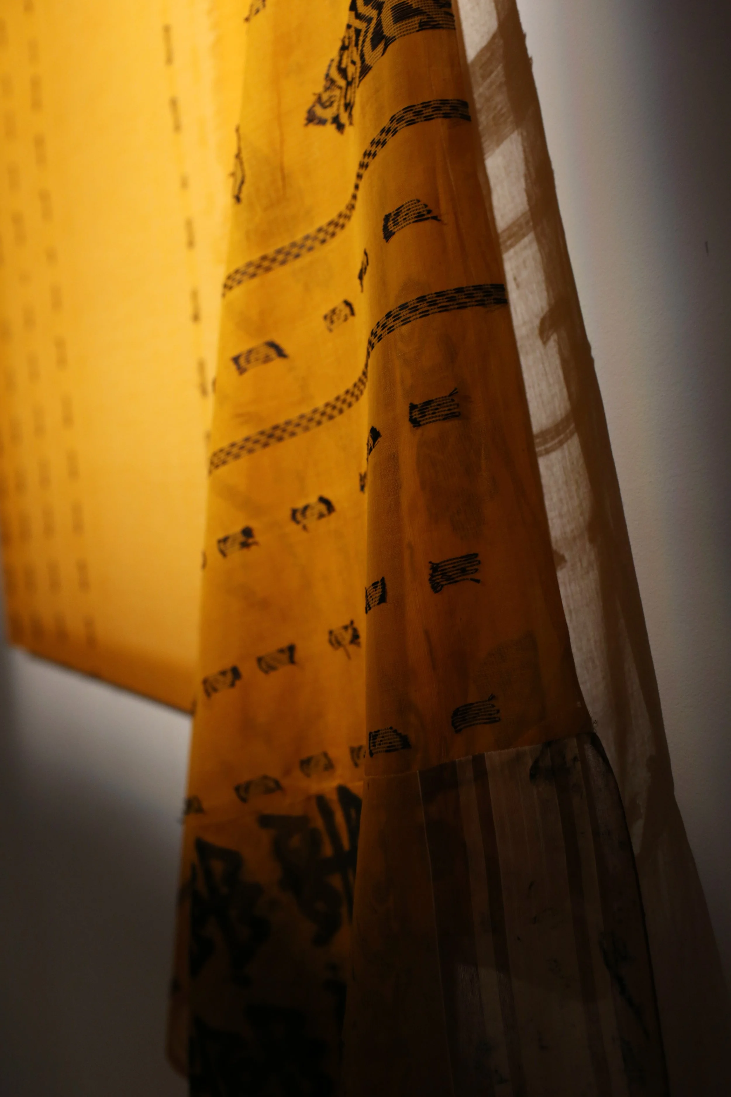 Jannat Hussain - Saree Not Sorry Install detail x1 .JPG