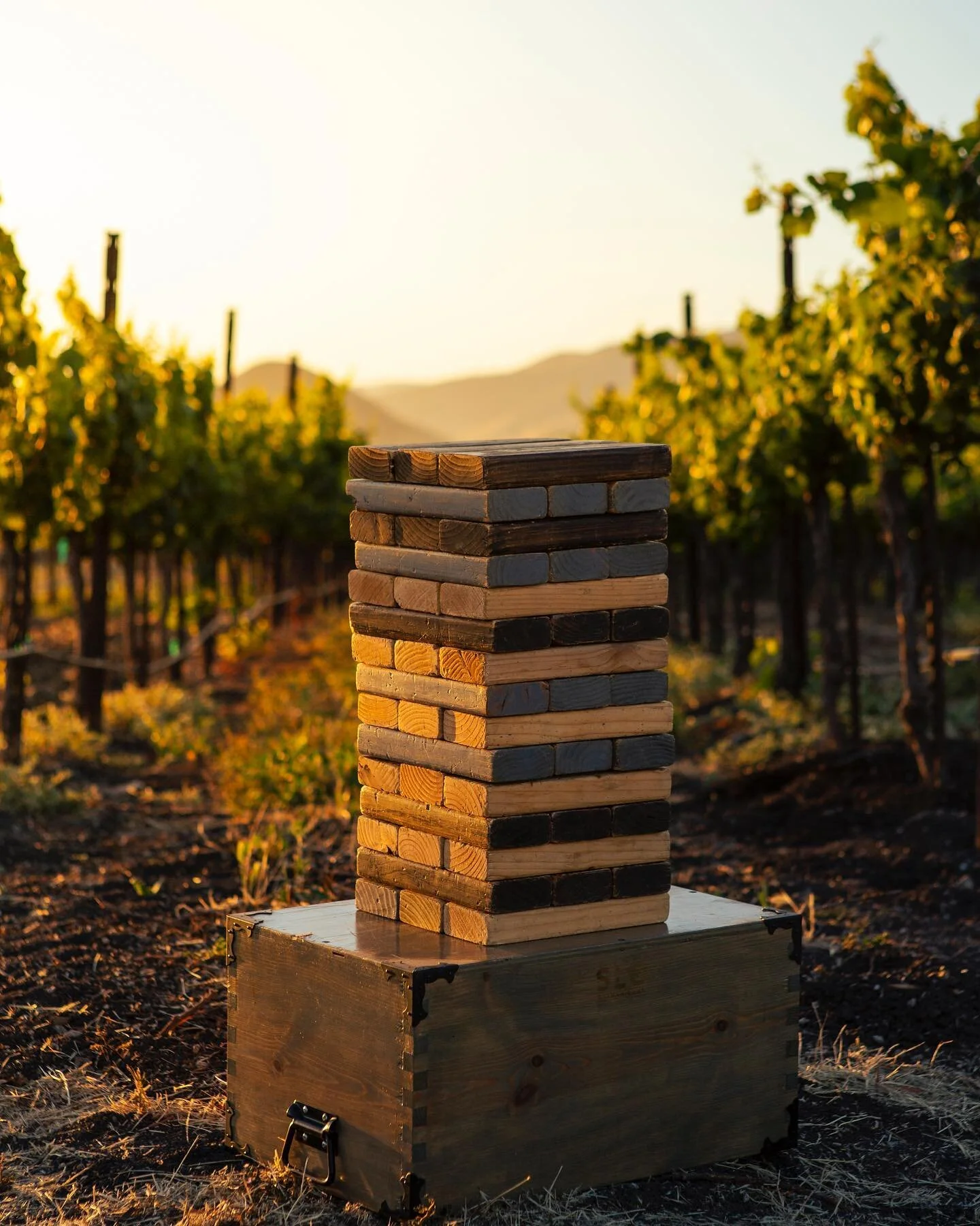 Custom Games &amp; Good Times! We are booking for August events and beyond. Book @lively_games using the contact info on our website!