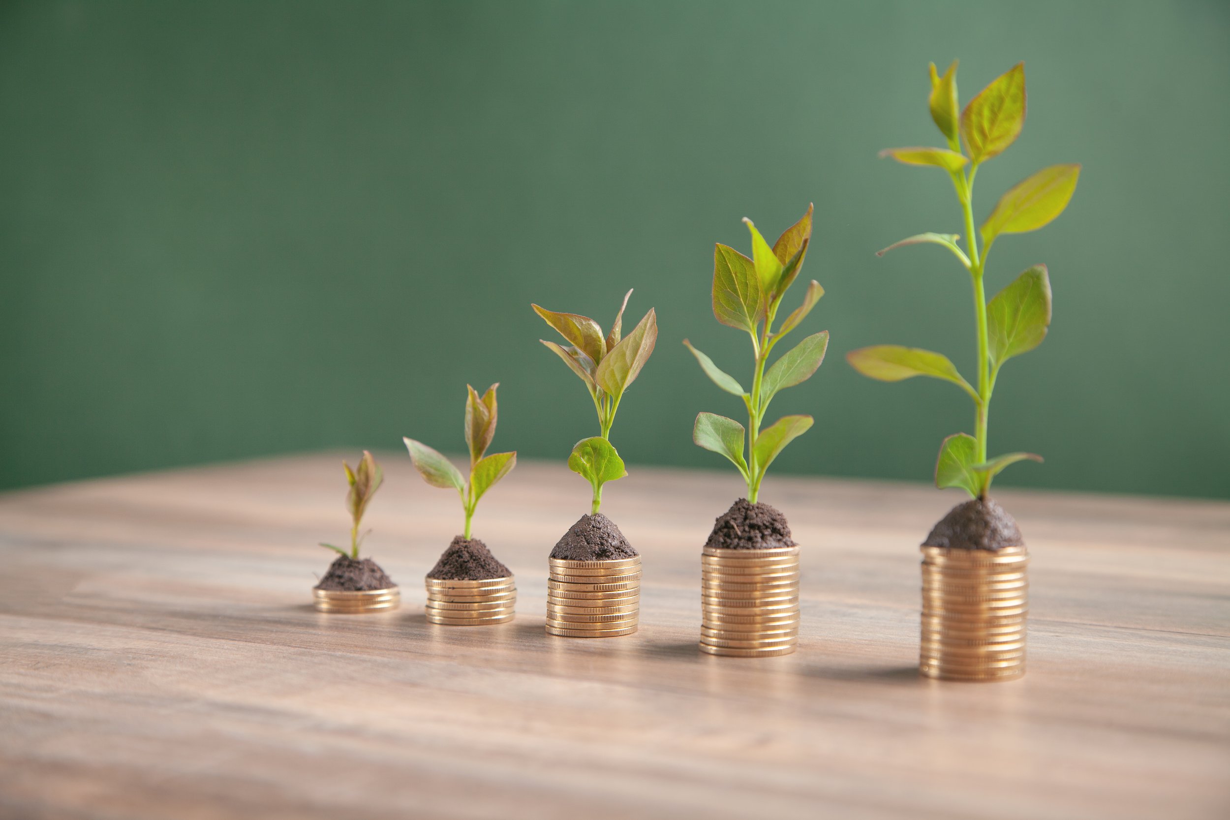 Bryan’s Five Rules for Financial Success