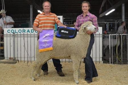 (Friesz 351) Supreme Champion Ewe
2014 Colorado State Fair Junior Show
(shown by Madeline Jahelka)