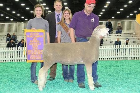 Reserve Grand Champion Ewe
2018 NAILE