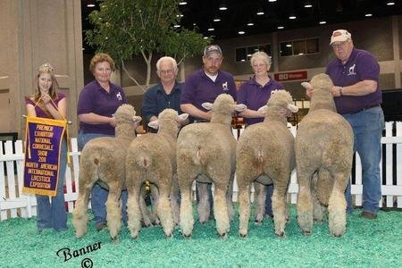 Premier Corriedale Breeder
2011 North American International Livestock Exposition