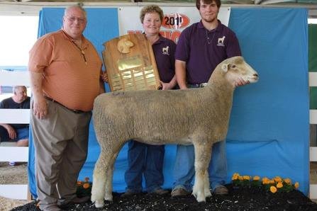 Junior Champion Ewe & 1st Intermediate Ewe Lamb
North American International Livestock Exposition
Part of 2nd Pair of Ewe Lambs