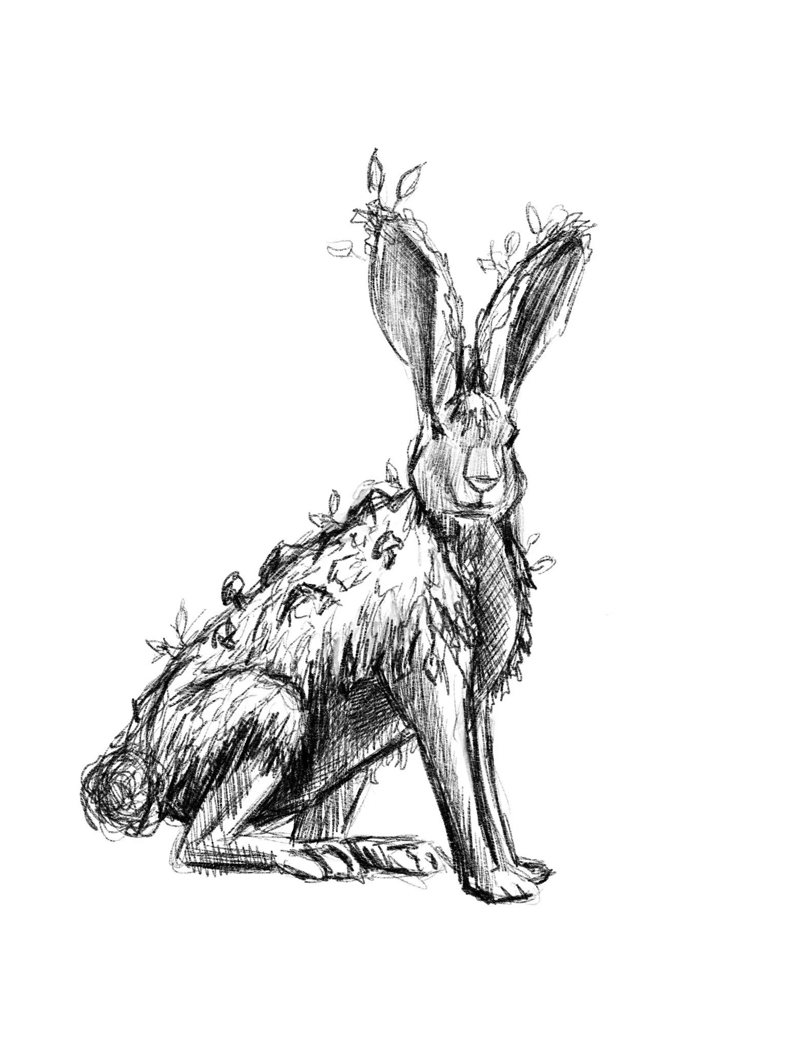 Untitled_Artwork 368.JPG