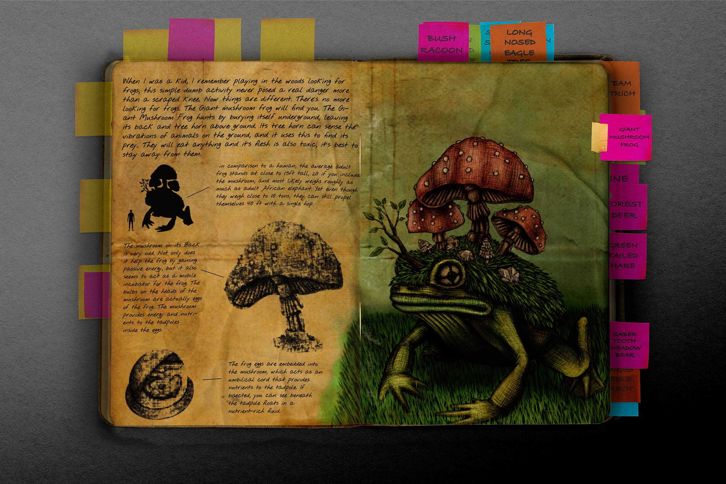 Journal of dr z page 23 copy.png