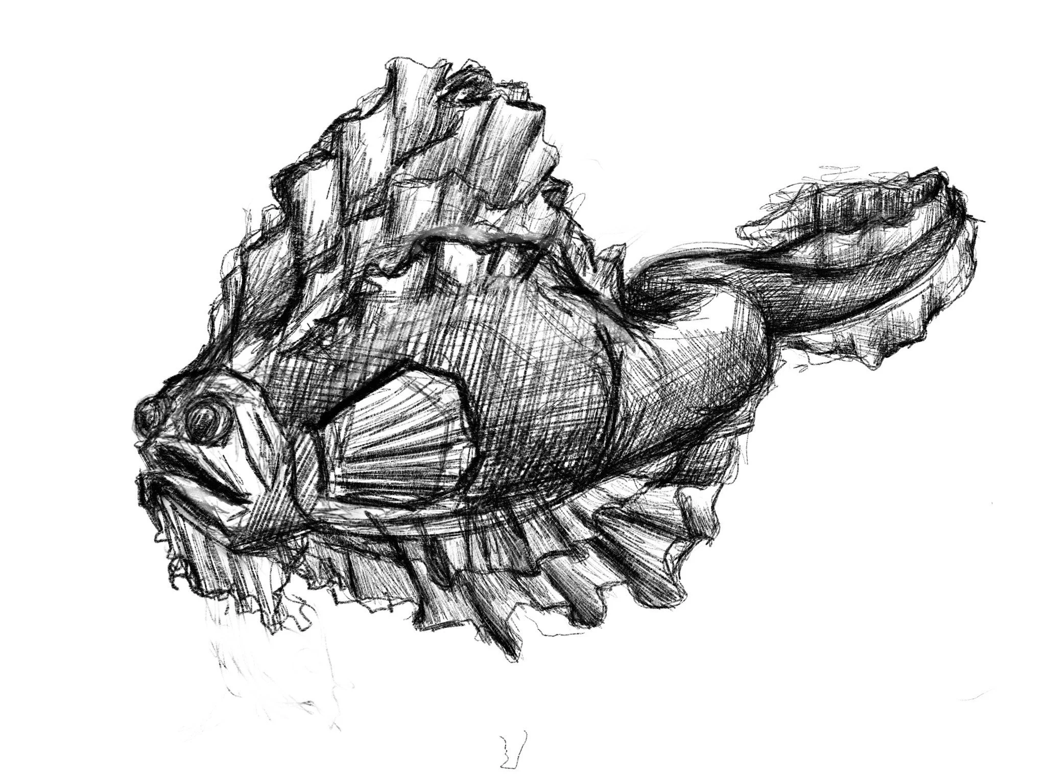 Untitled_Artwork 362.JPG