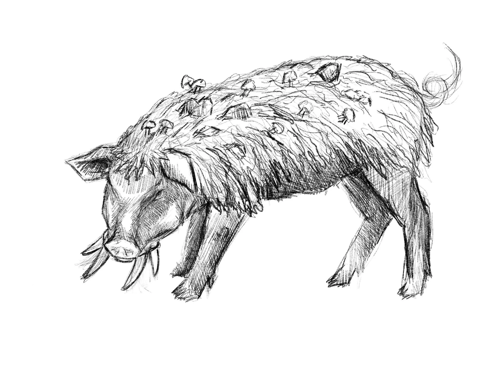 Untitled_Artwork 369.JPG