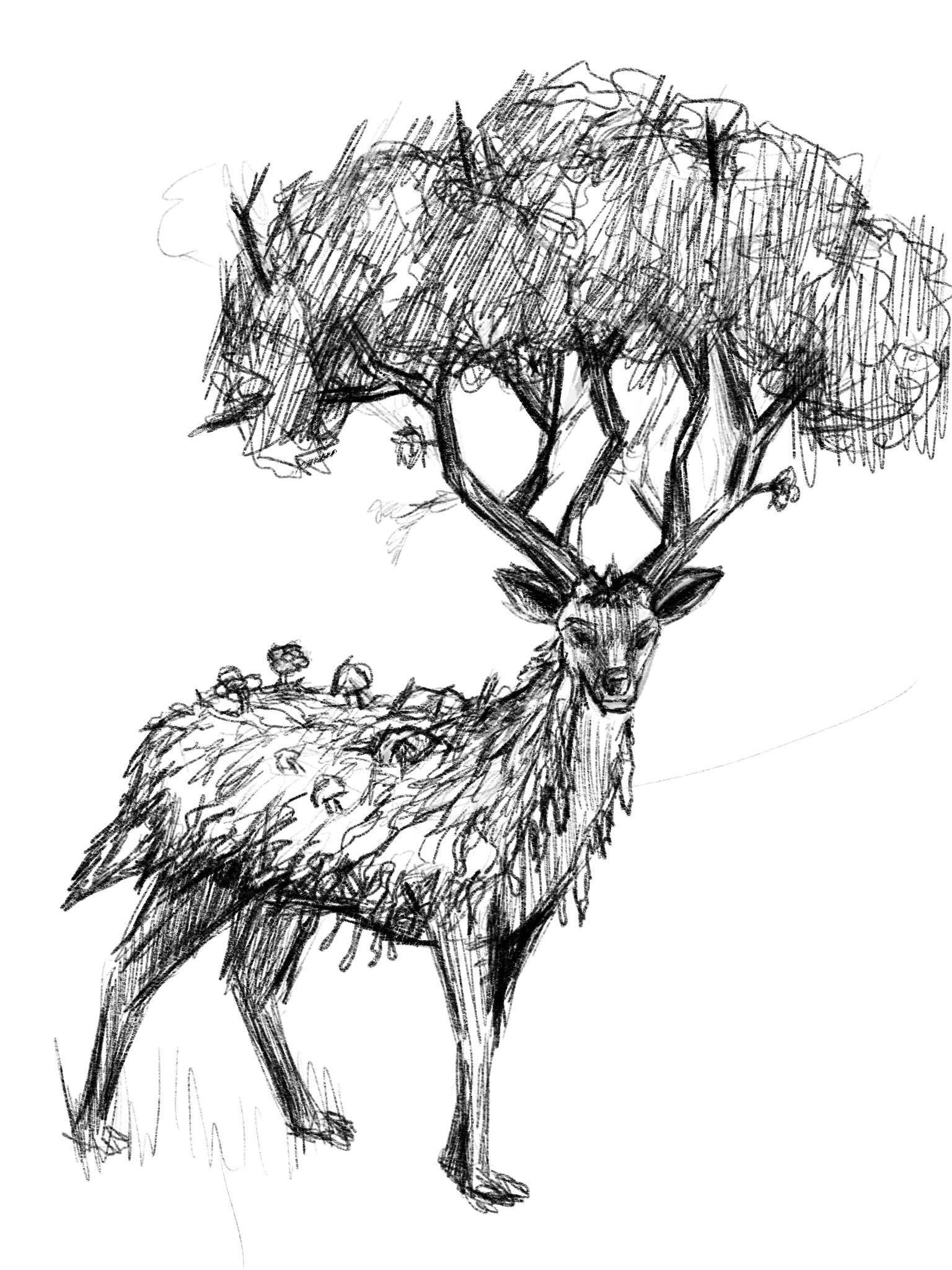 Untitled_Artwork 370.JPG