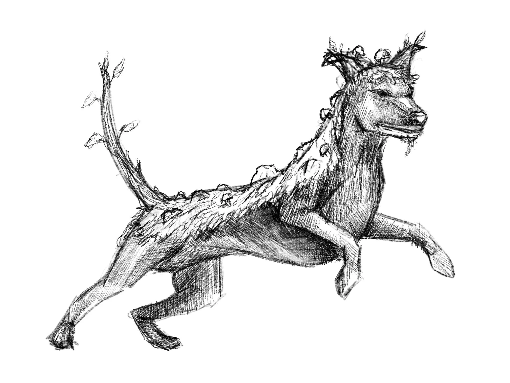 Untitled_Artwork 367.JPG