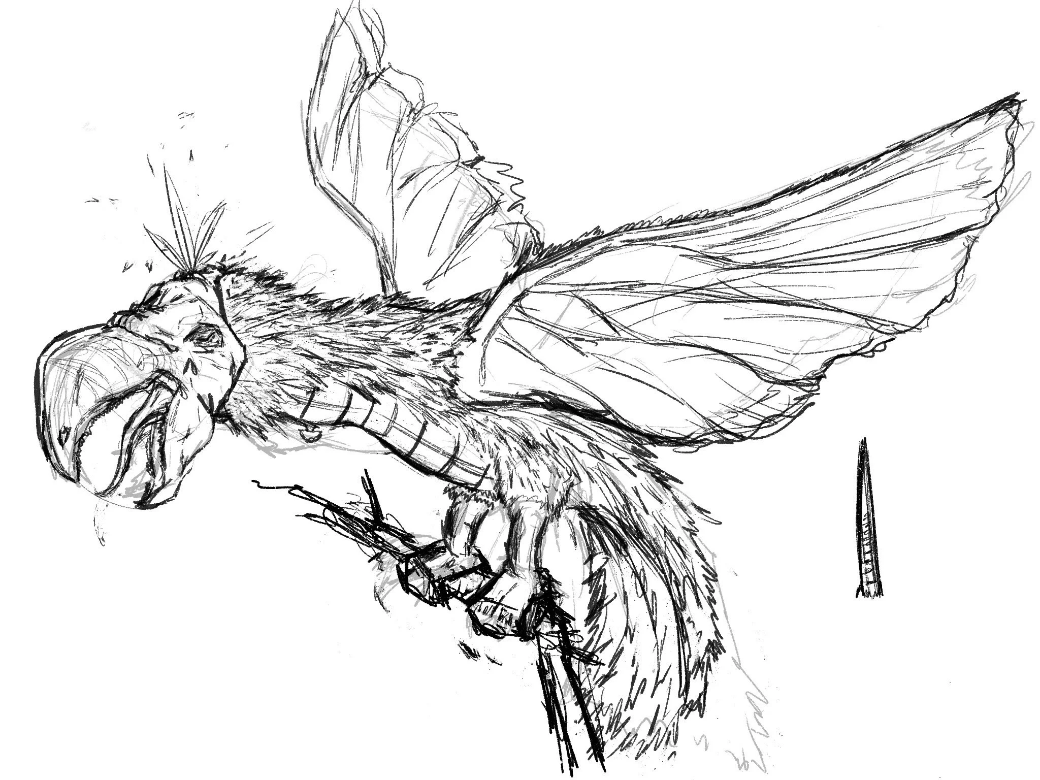 Untitled_Artwork 351.JPG