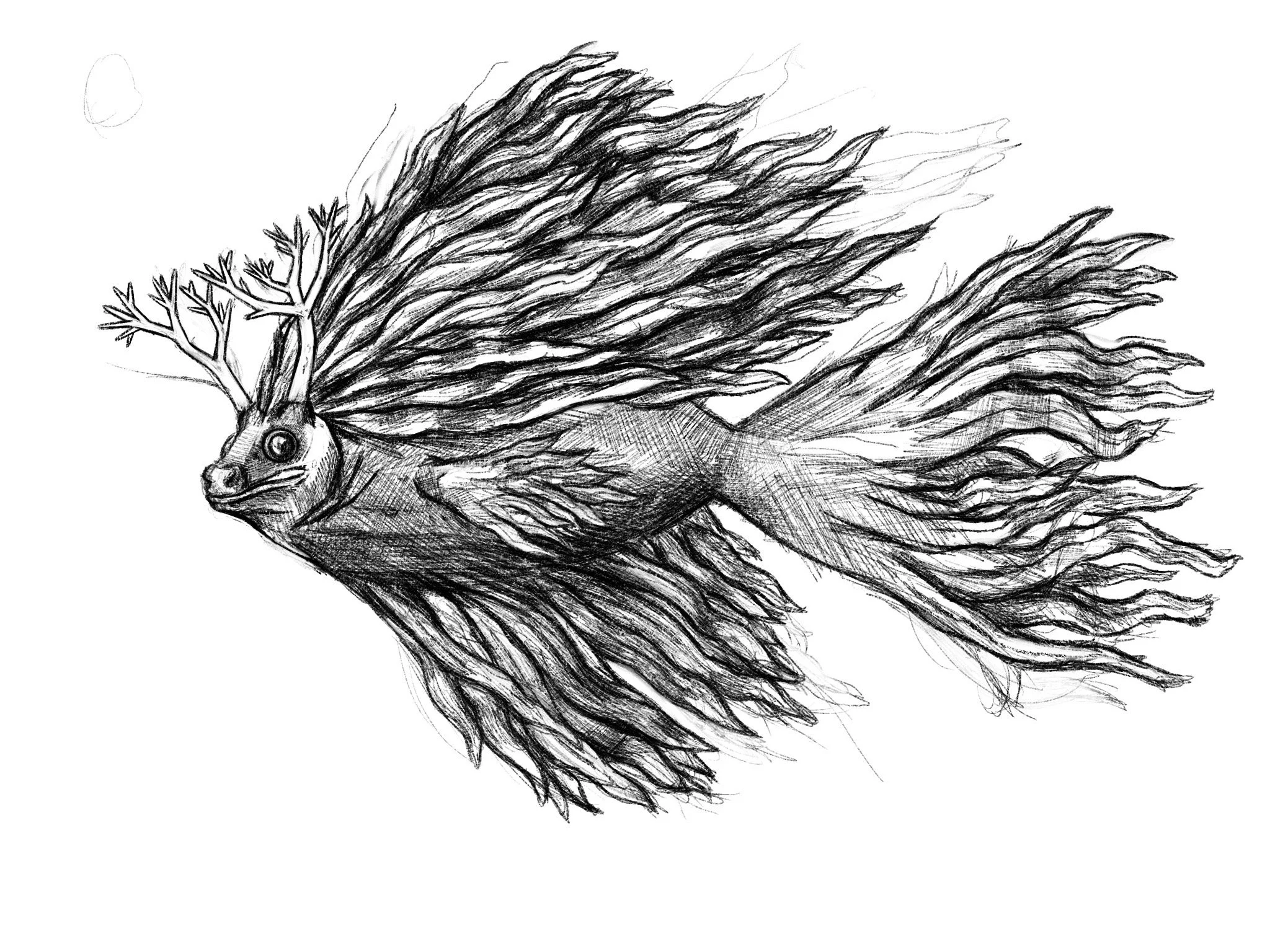 Untitled_Artwork 359.JPG