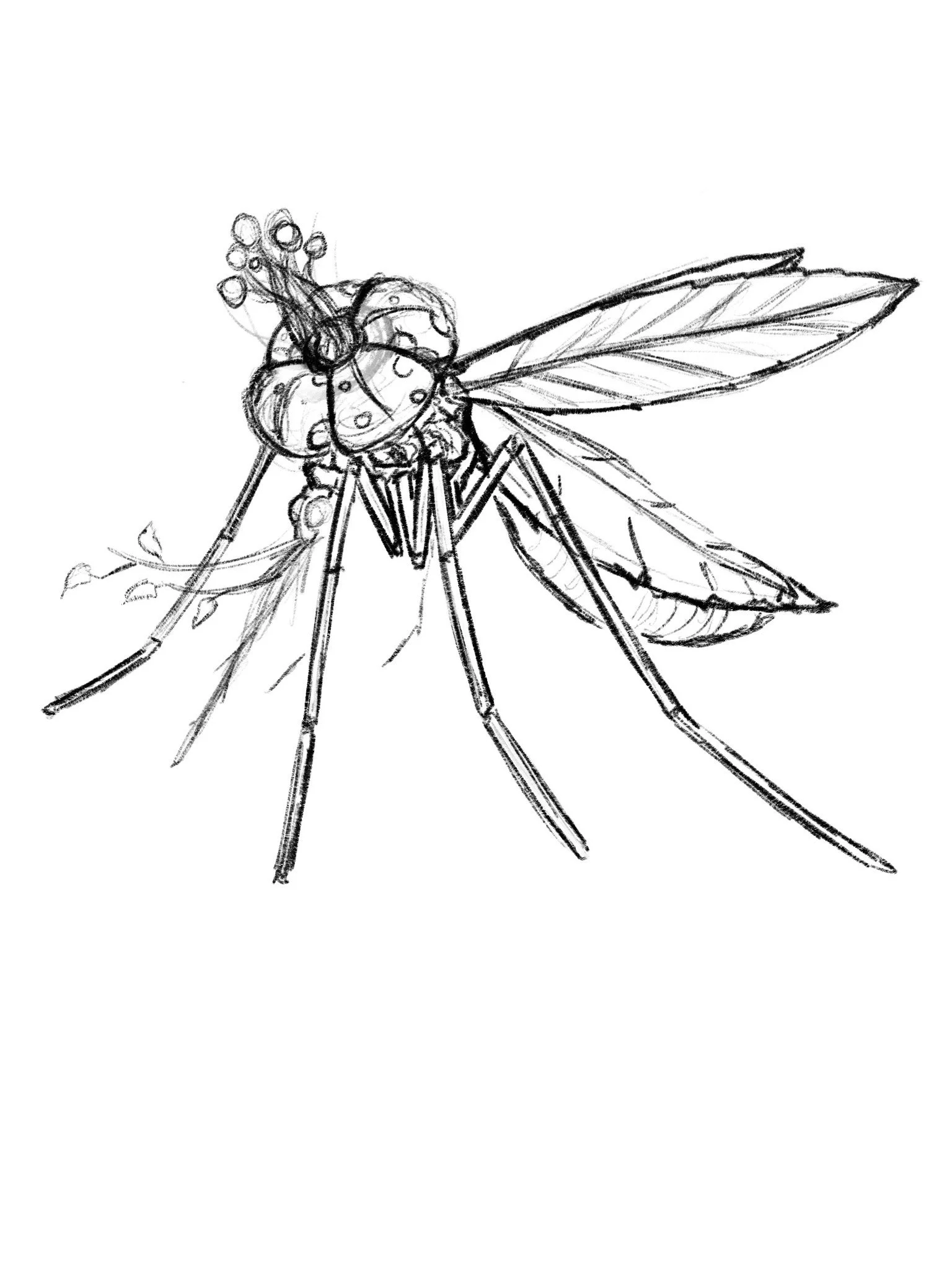 Untitled_Artwork 354.JPG