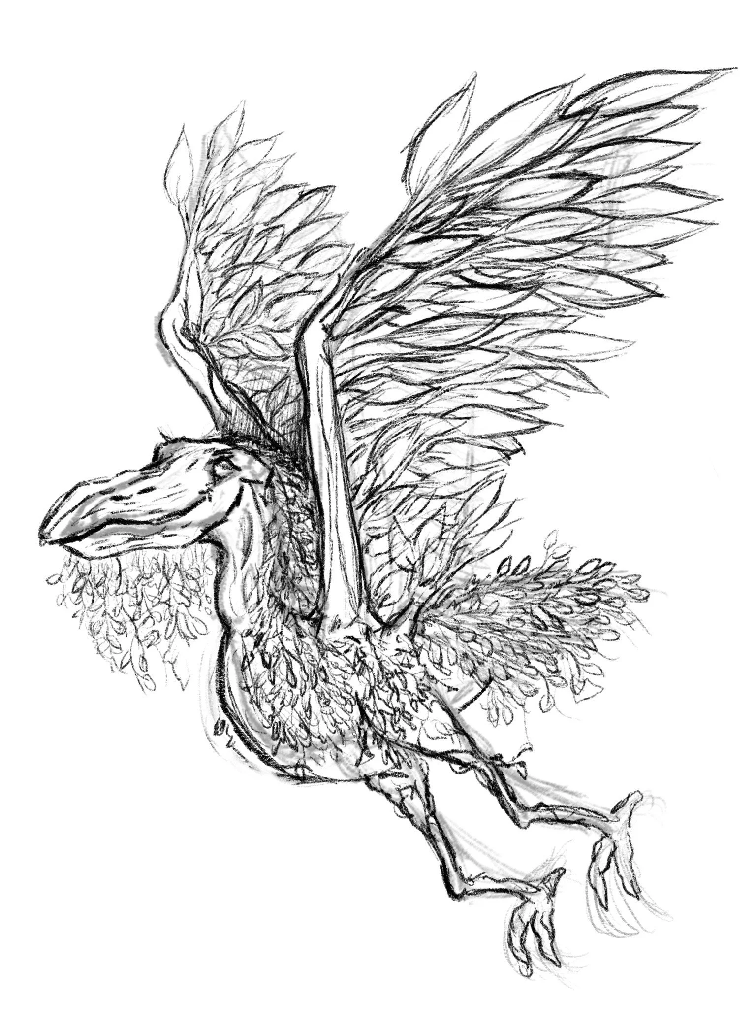 Untitled_Artwork 353.JPG