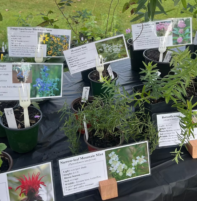 Native Gardening Workshop