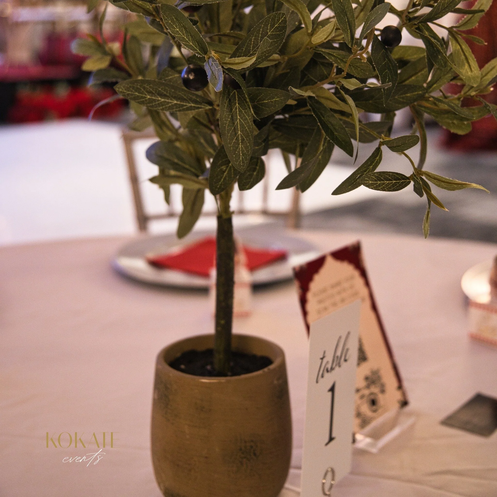 Every detail tells a story&hellip; 🌿

This table is set with care, featuring a miniature olive tree as the centerpiece, warm red napkins, and simple, elegant place settings. It&rsquo;s the little touches that make a wedding feel personal and unforge