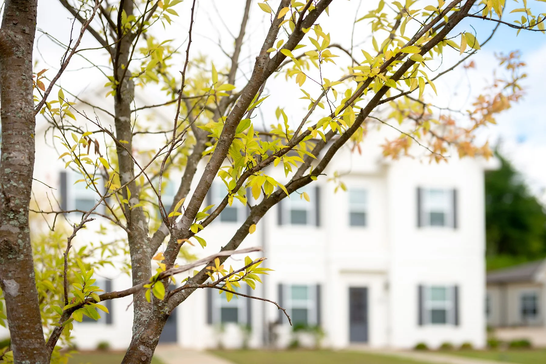 Photo: Rebekah Flake