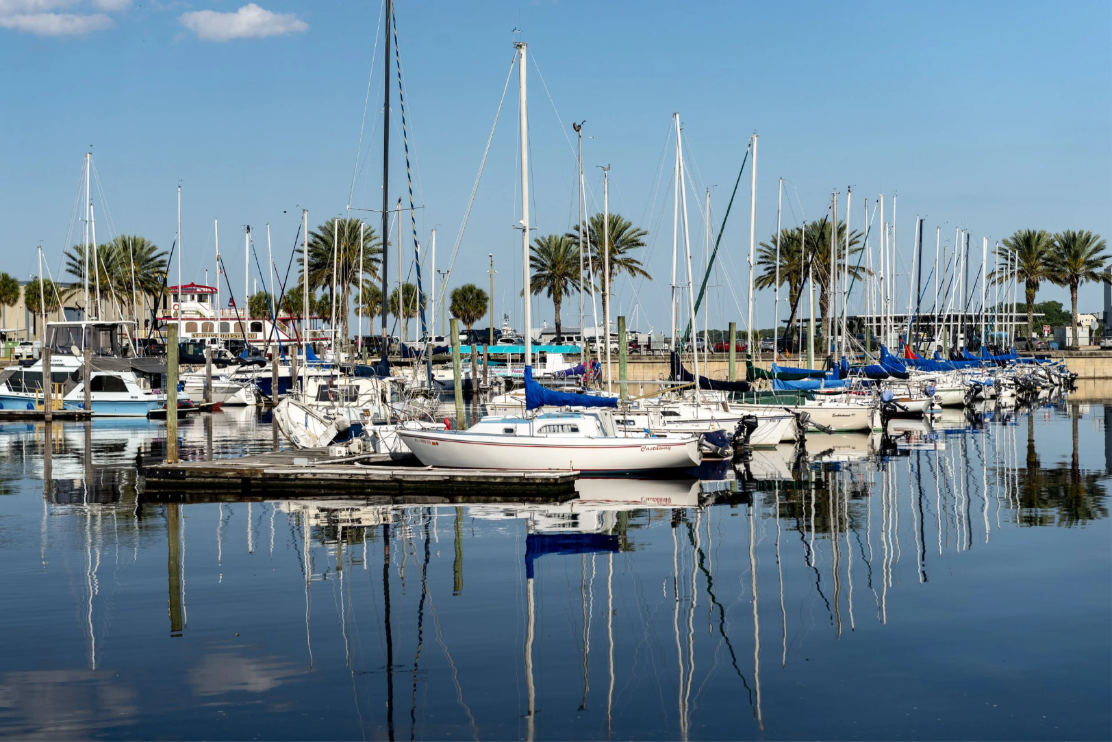 Sailboats docked in a marina