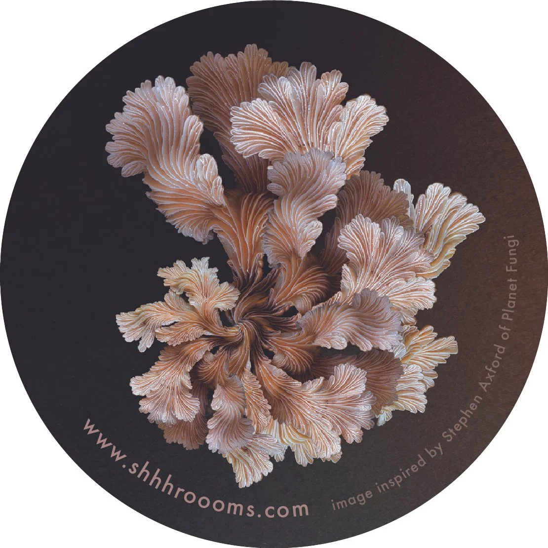 mushroom art sticker by shhhroooms