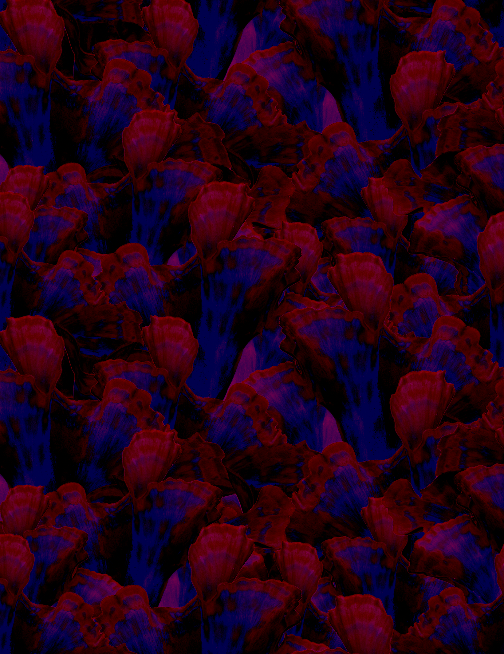 Fungi Textile Pattern