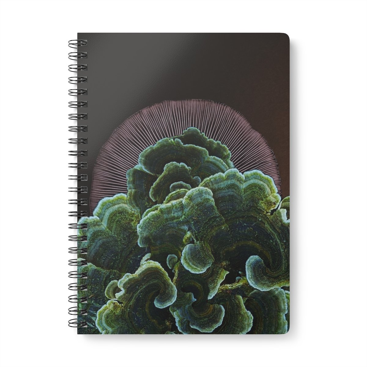 mushroom art journal by shhhroooms
