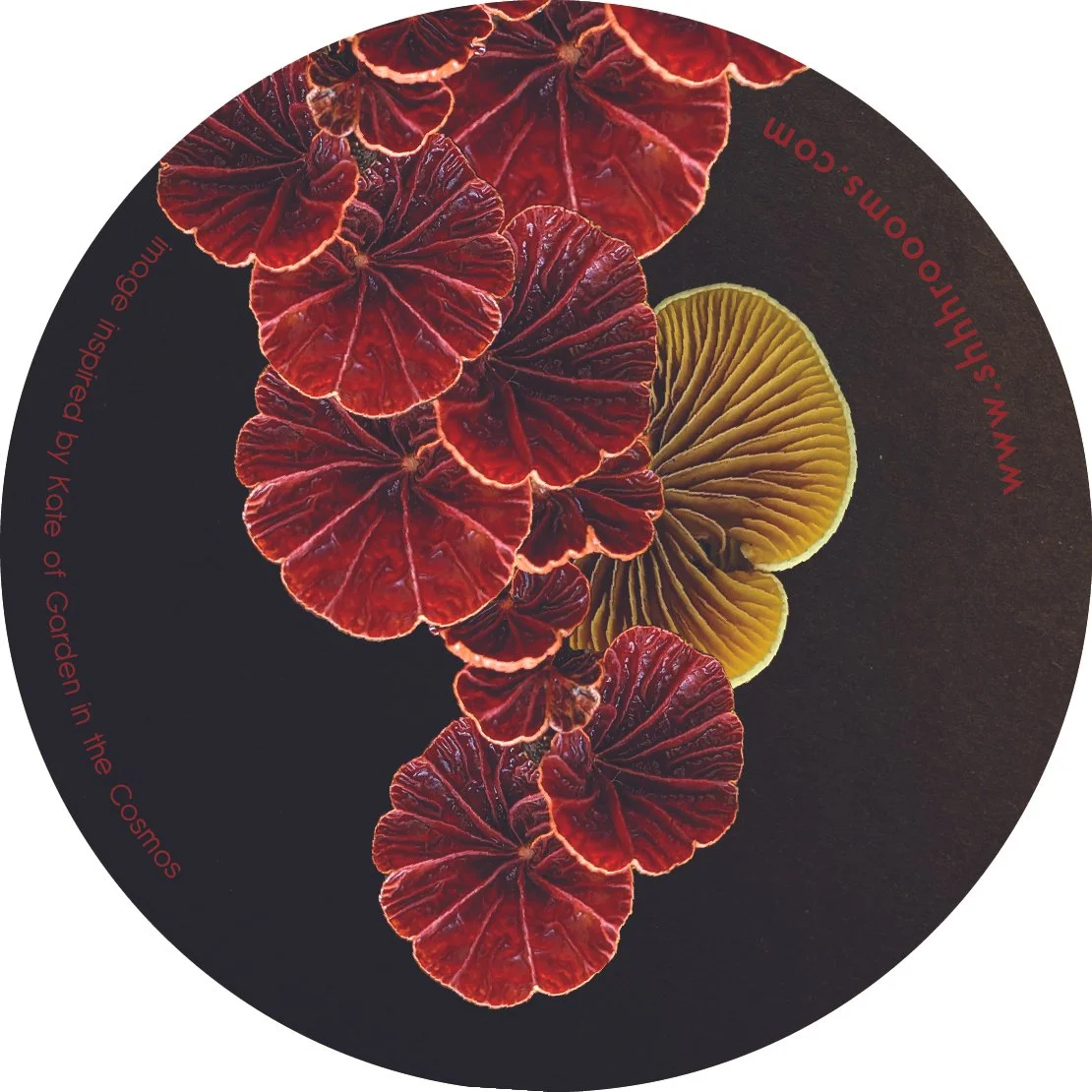mushroom art sticker by shhhroooms