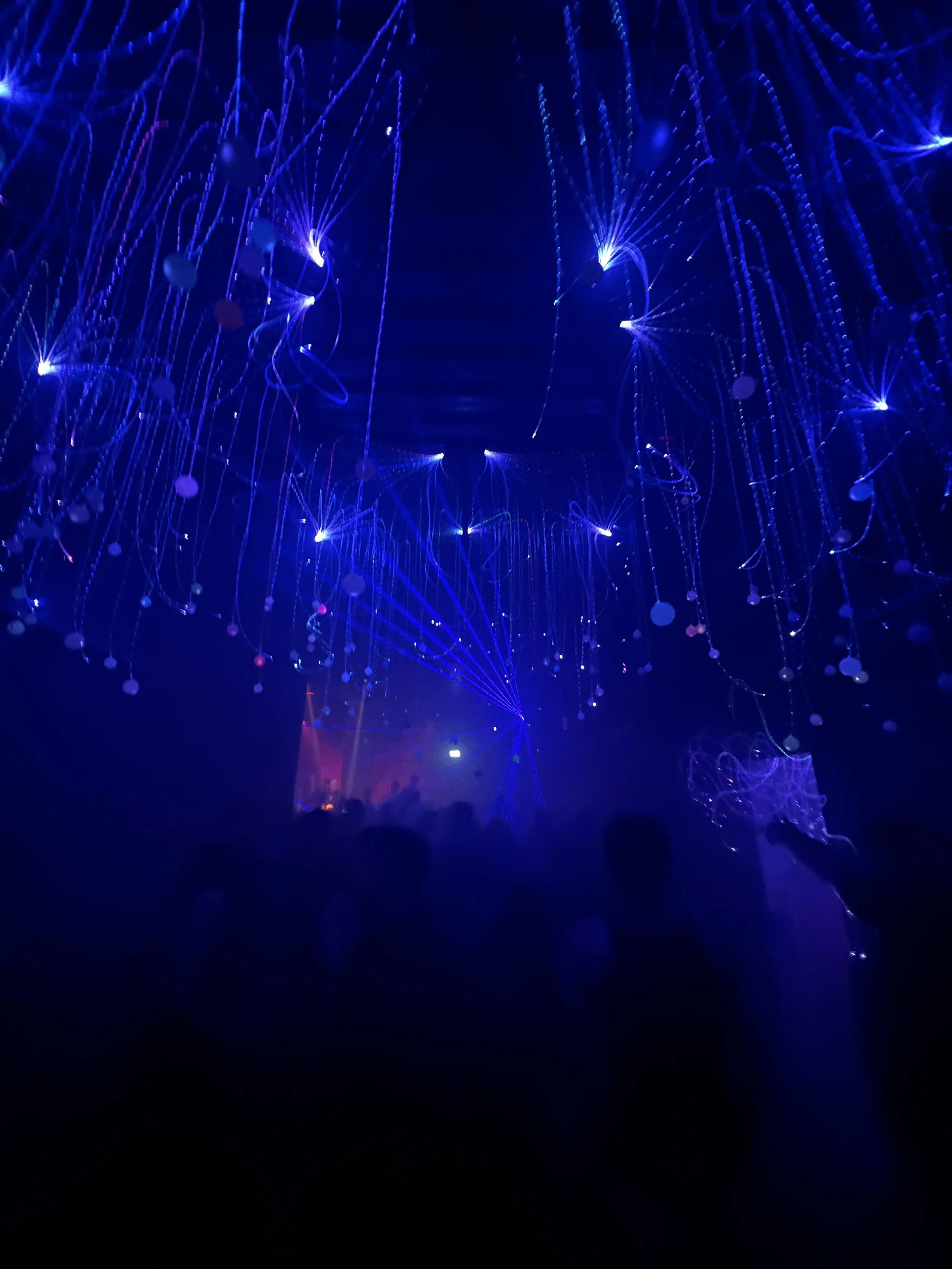 Fiber Optic light installation