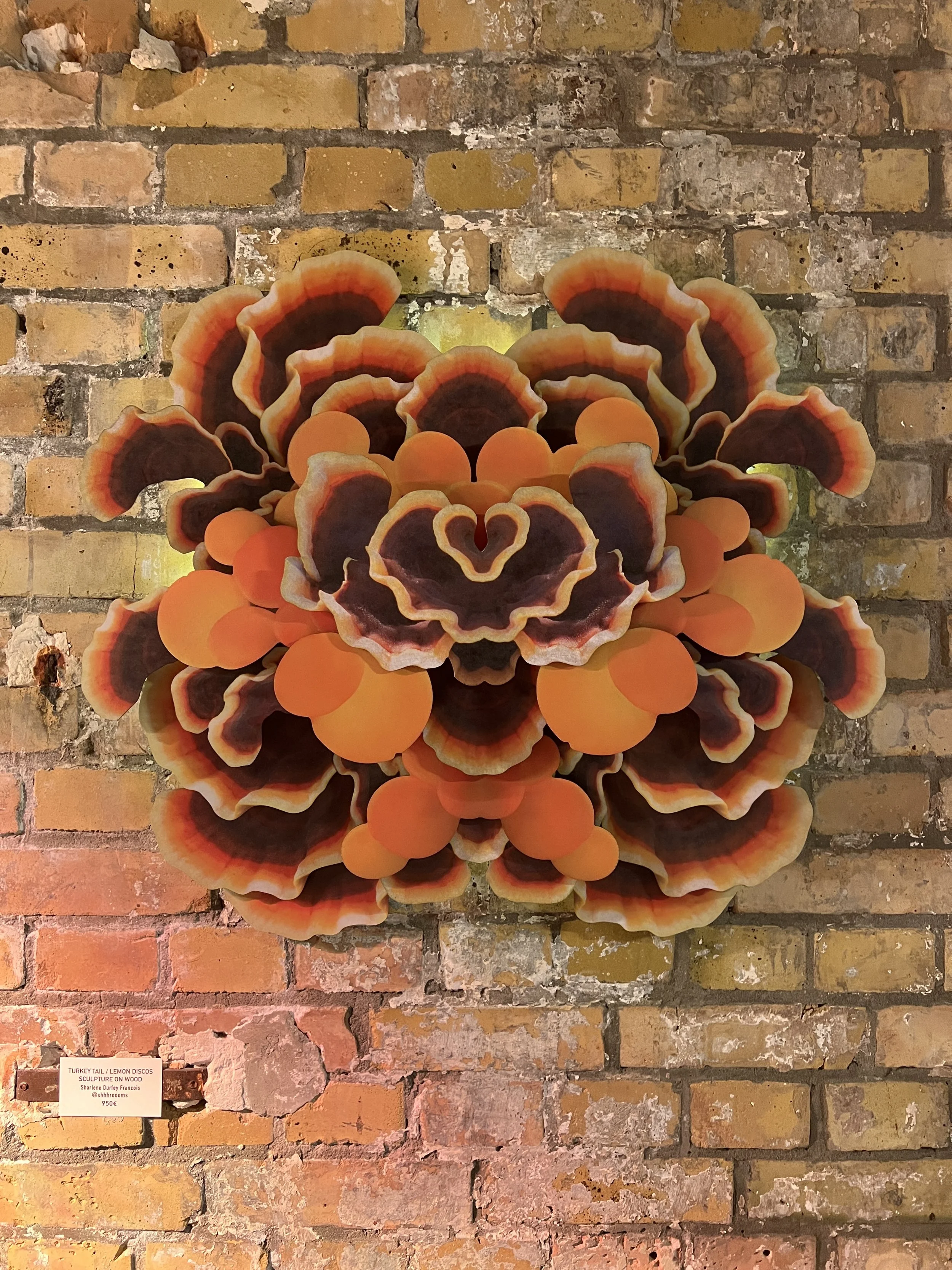Decorative wall sculpture resembling mushrooms in a symmetrical yet organic way. Lemon discos and turkey tails created by Shhhroooms with wood.