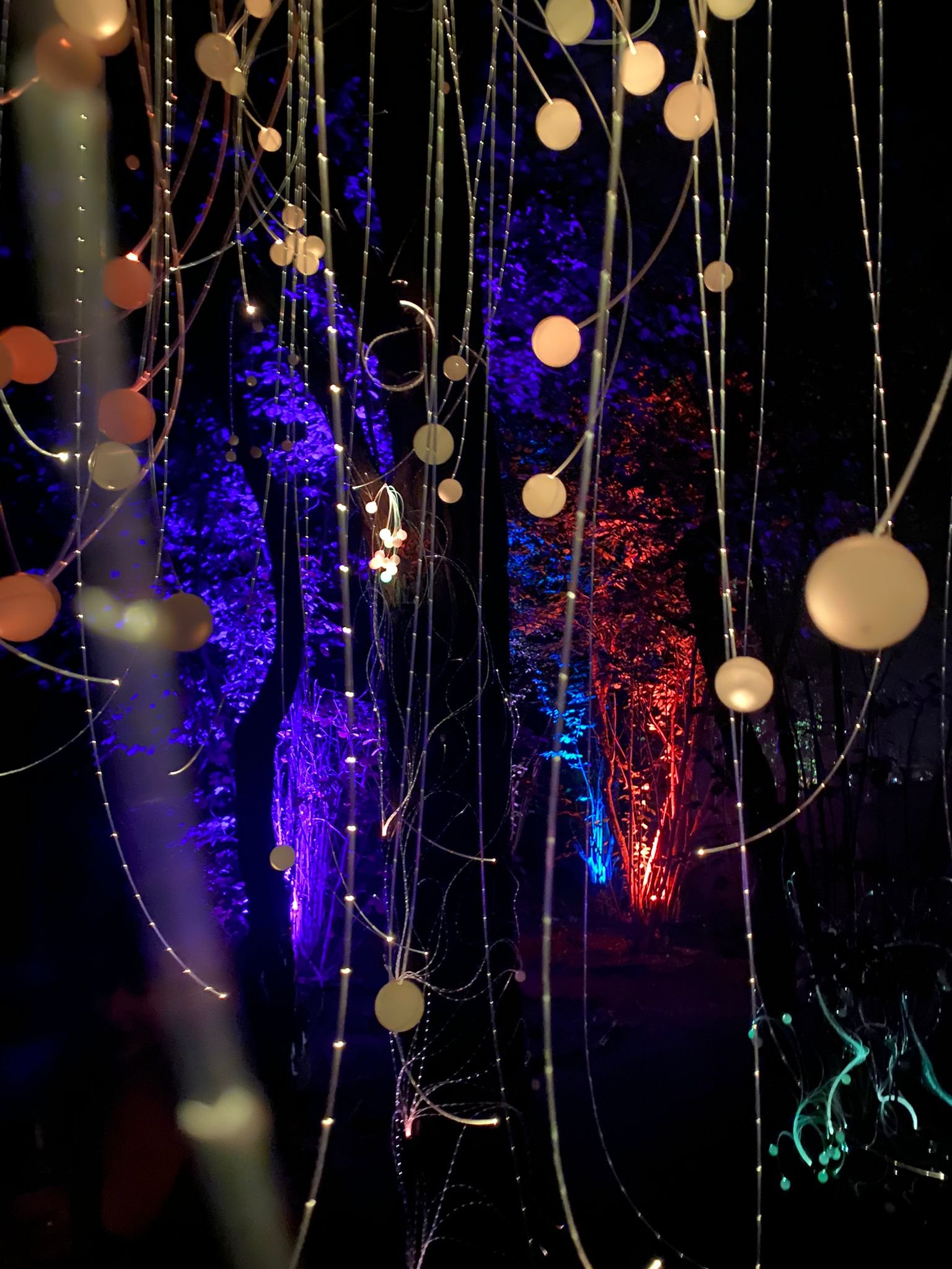 mycelium lights lauschic fiberoptic LED shhhroooms