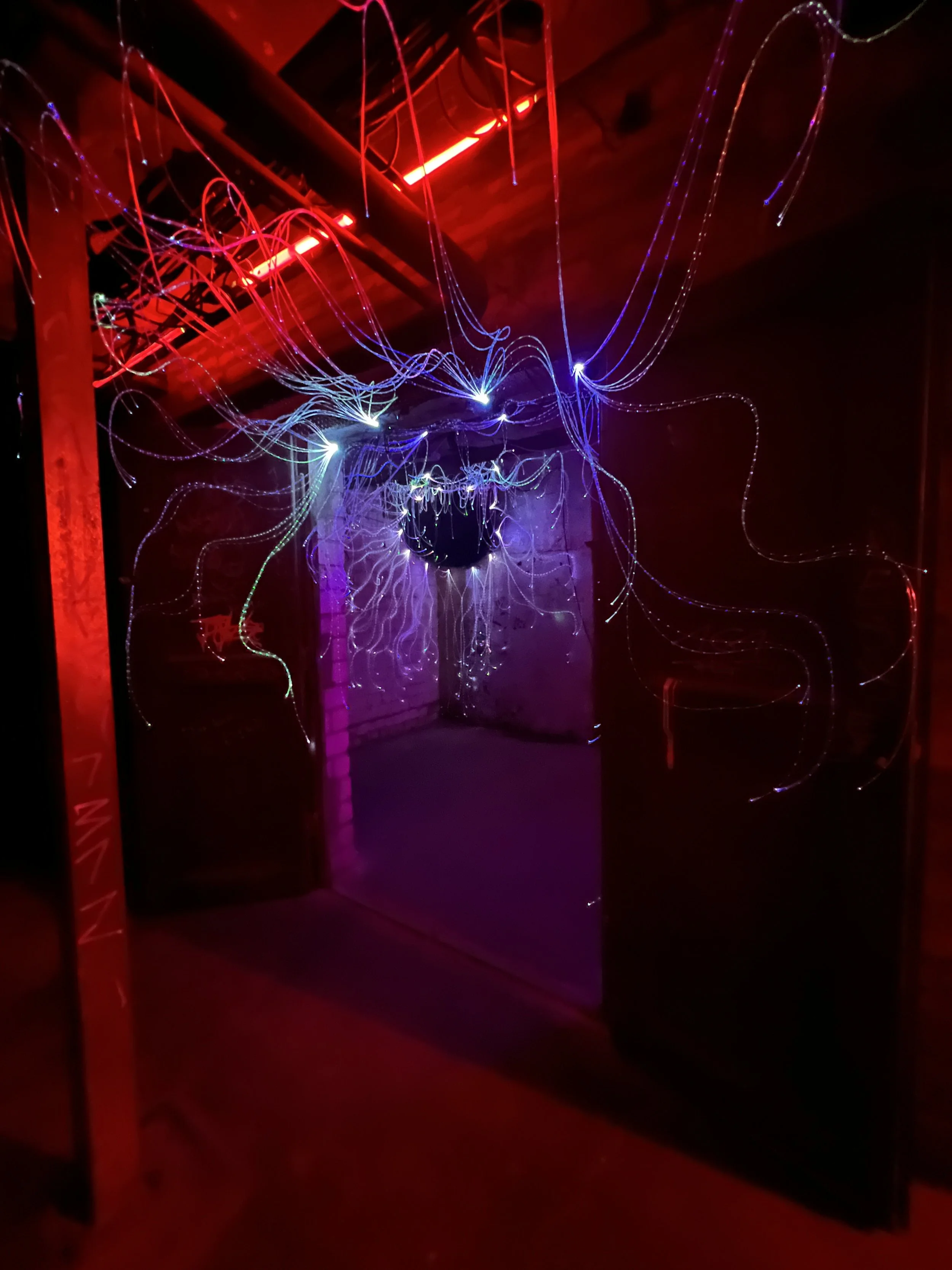 mycelium lights lauschic fiberoptic LED shhhroooms