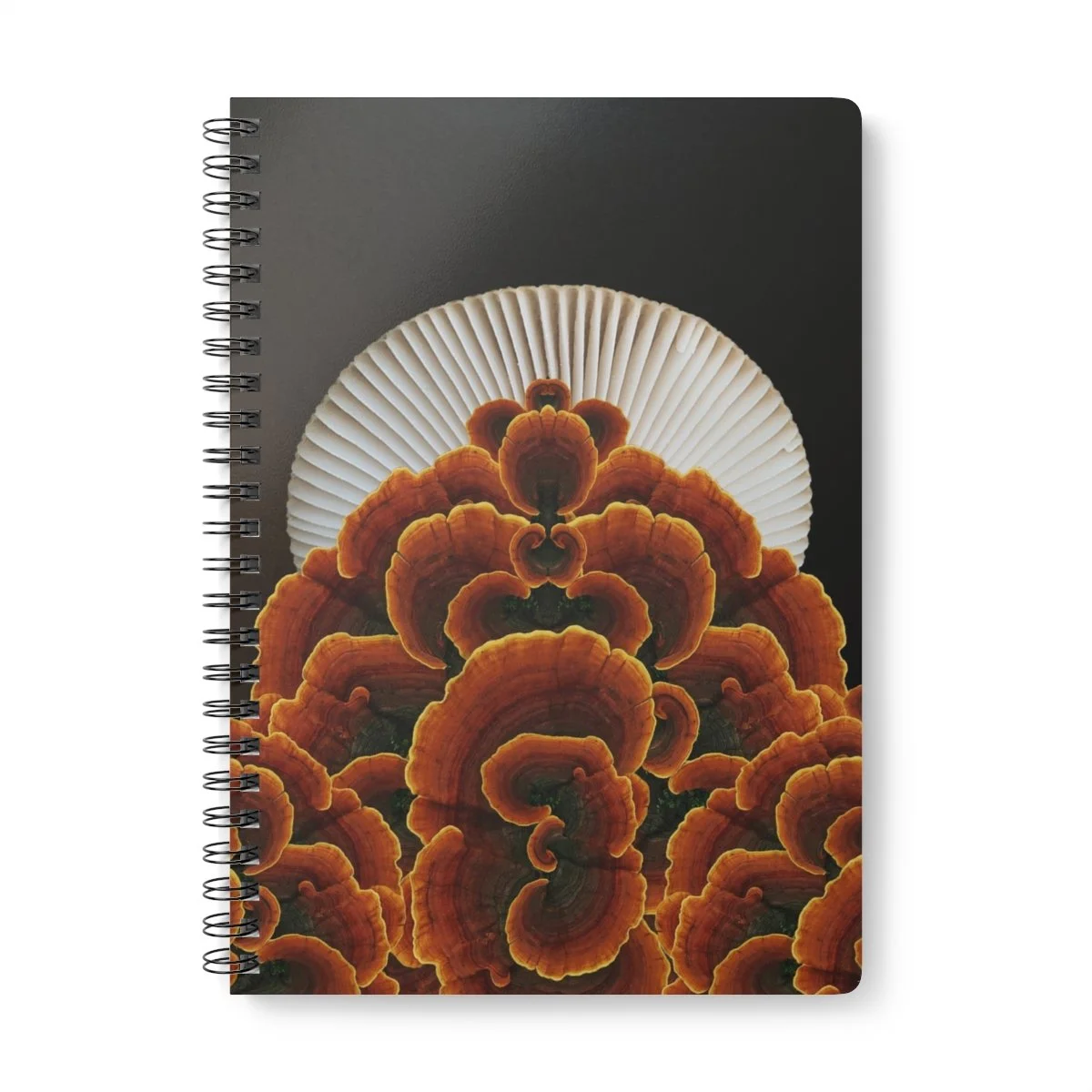 mushroom art journal by shhhroooms