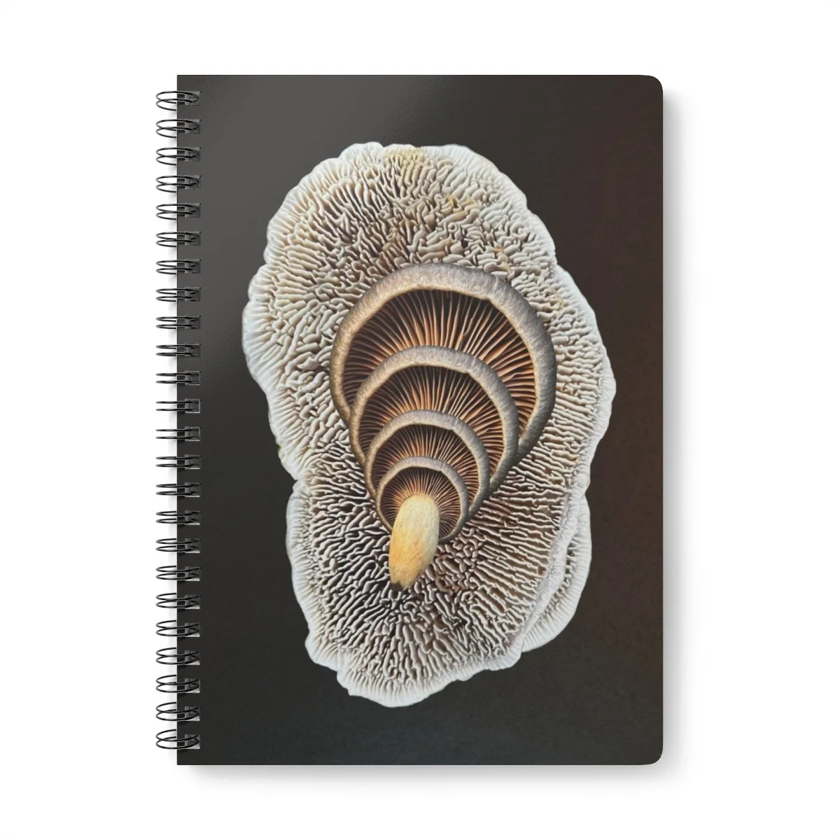 mushroom art journal by shhhroooms
