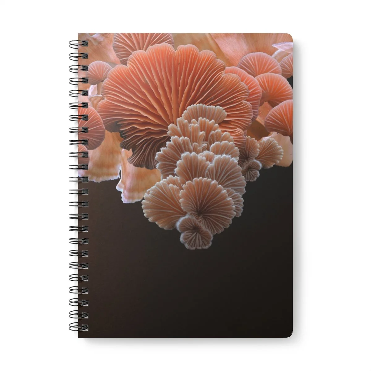mushroom art journal by shhhroooms